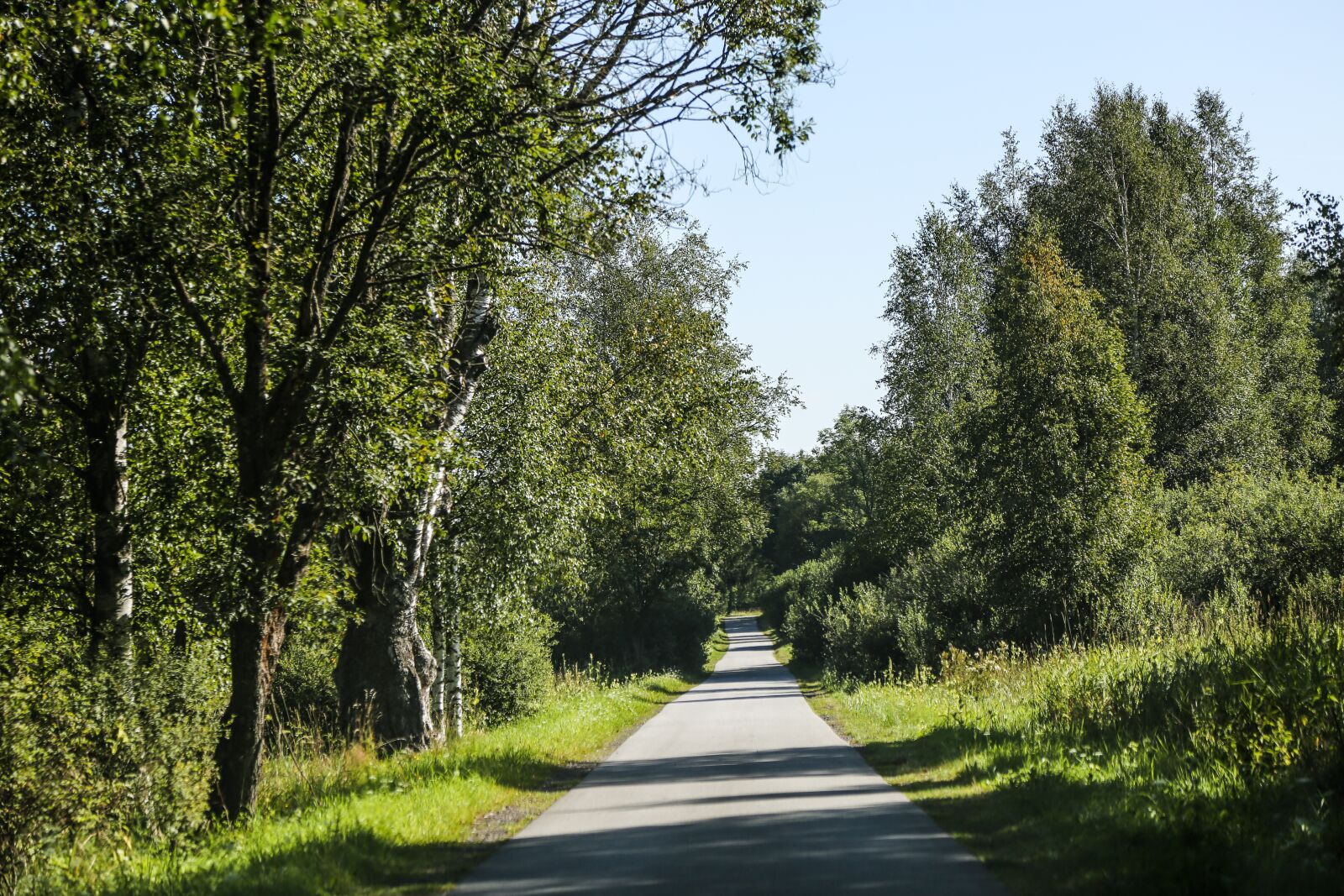Canon EF 24-105mm F4L IS USM sample photo. Away, road, just photography