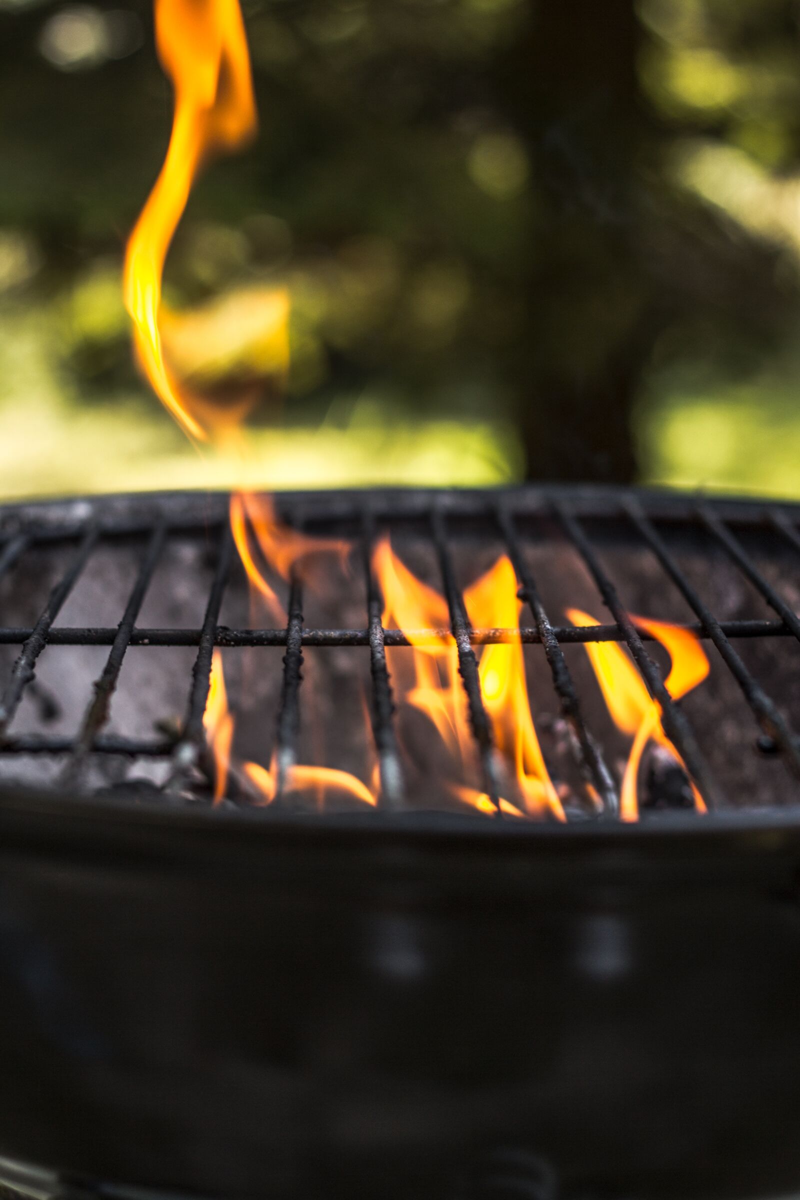 Canon EOS 60D + Canon EF 50mm F1.8 II sample photo. Grill, season on the photography