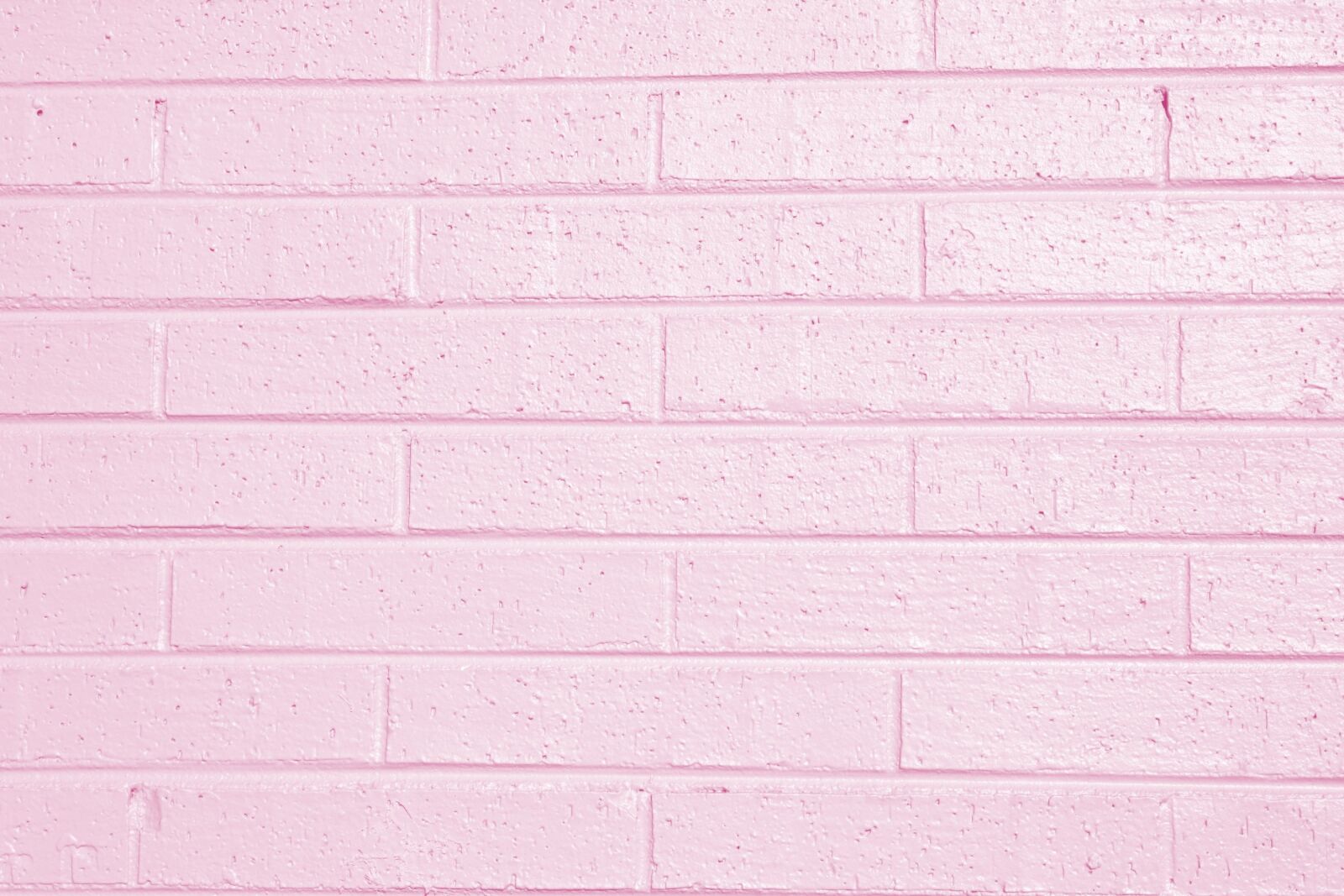 Canon EOS 1000D (EOS Digital Rebel XS / EOS Kiss F) sample photo. Wall, pattern, wallpaper photography