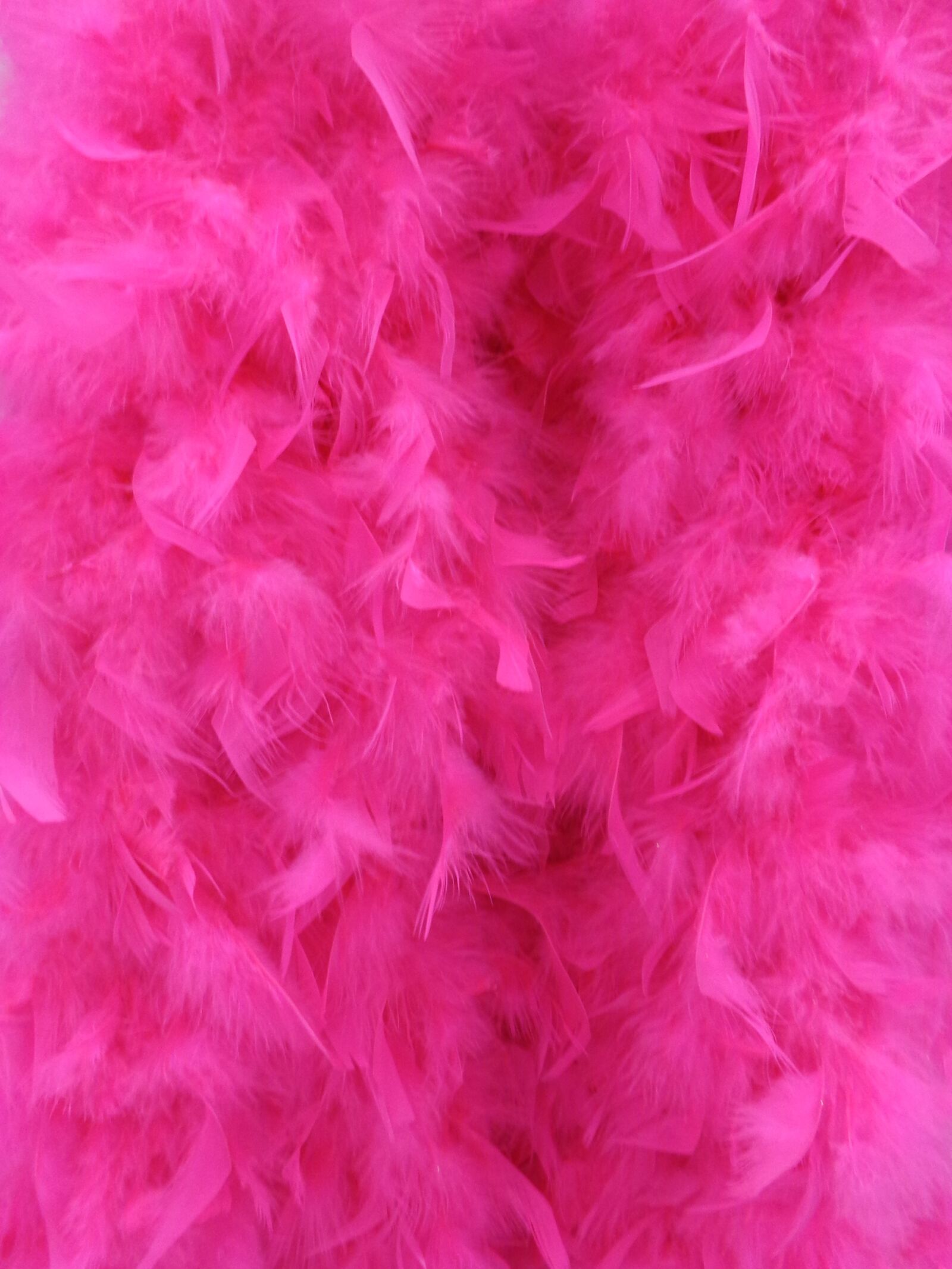 Sony Cyber-shot DSC-W730 sample photo. Background, pink, fluffy photography