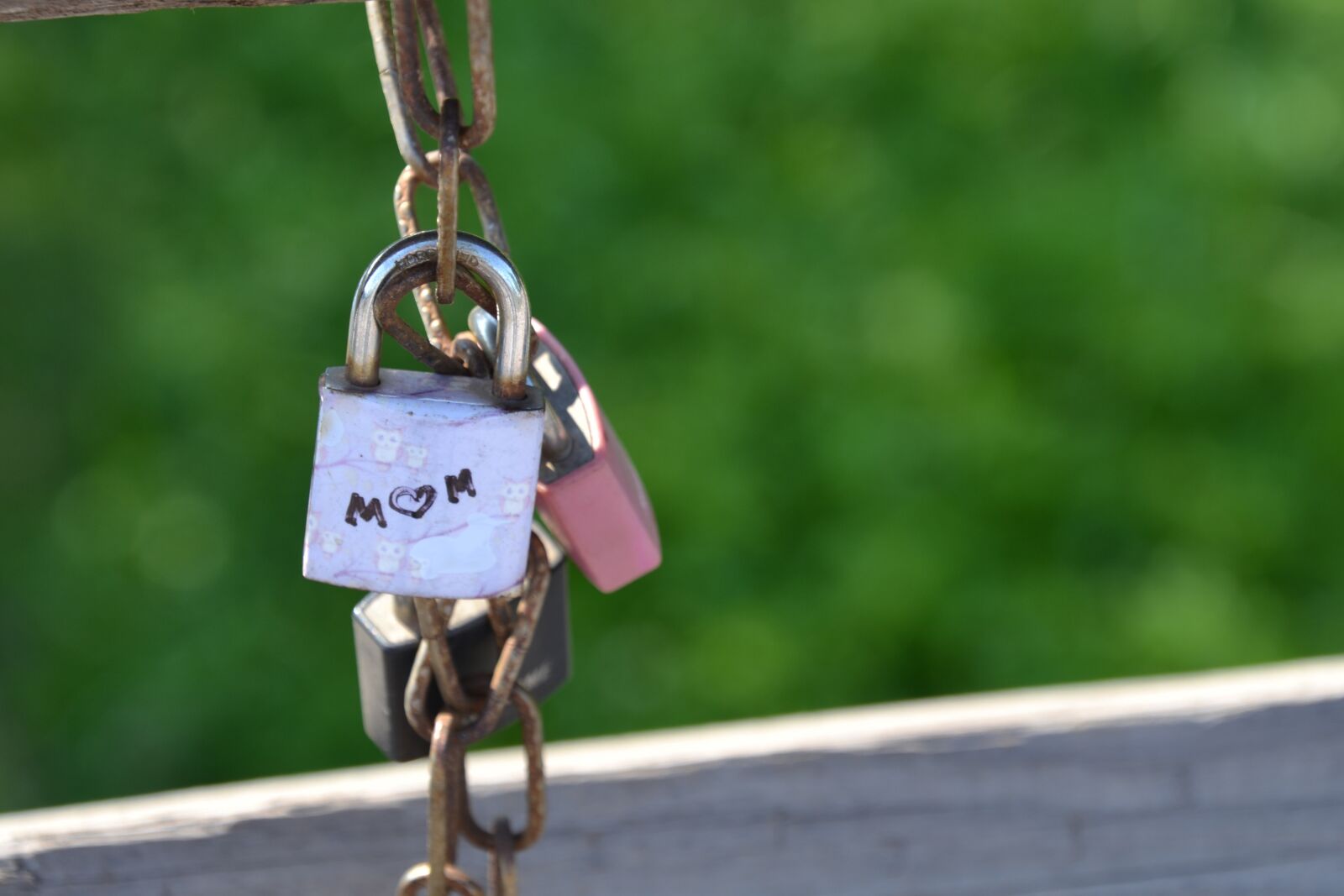 Nikon D3100 sample photo. Mom, mother, parent photography