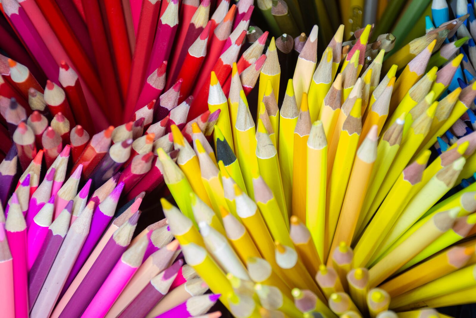 Nikon D7200 sample photo. Pencils, colorful, color photography