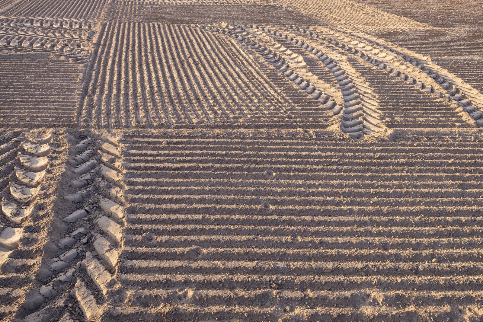 Fujifilm X-T2 + Fujifilm XF 16mm F1.4 R WR sample photo. Field, ridge, arable photography