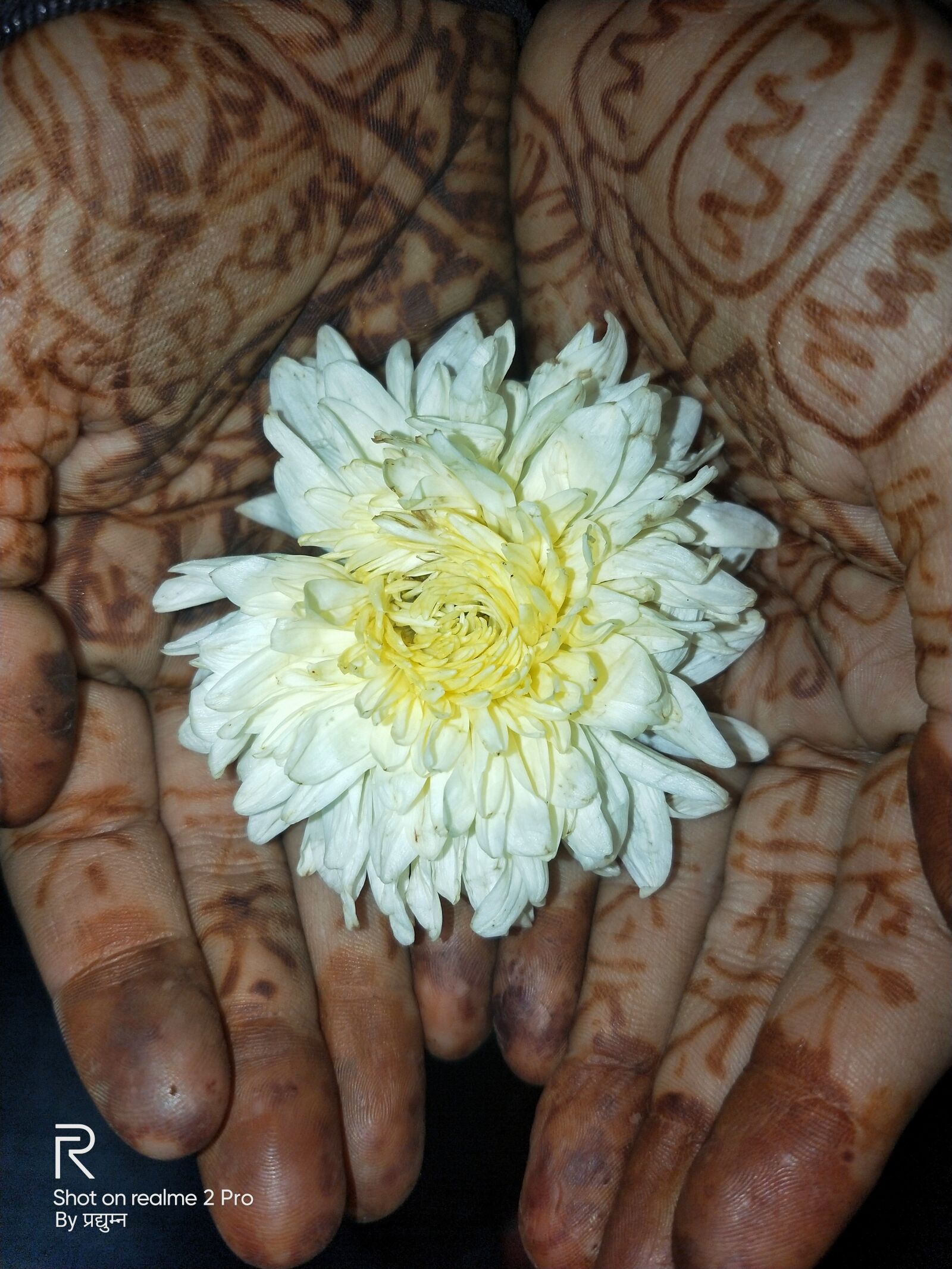 OPPO Realme 2 Pro sample photo. Mehandi, henna, flower photography
