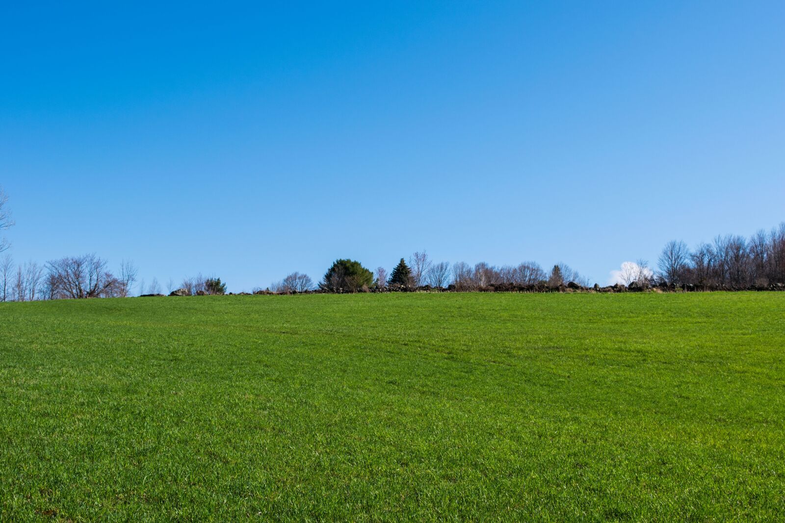 Nikon D3300 sample photo. Grass, nature, panoramic photography