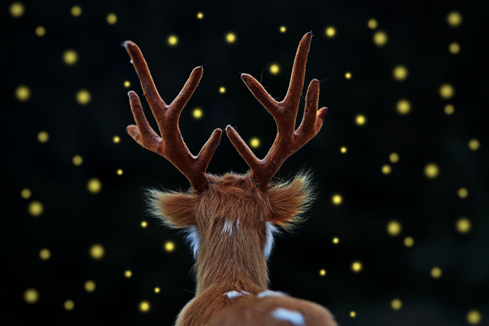 Canon EOS 77D (EOS 9000D / EOS 770D) sample photo. Fallow deer, hart, fireflies photography