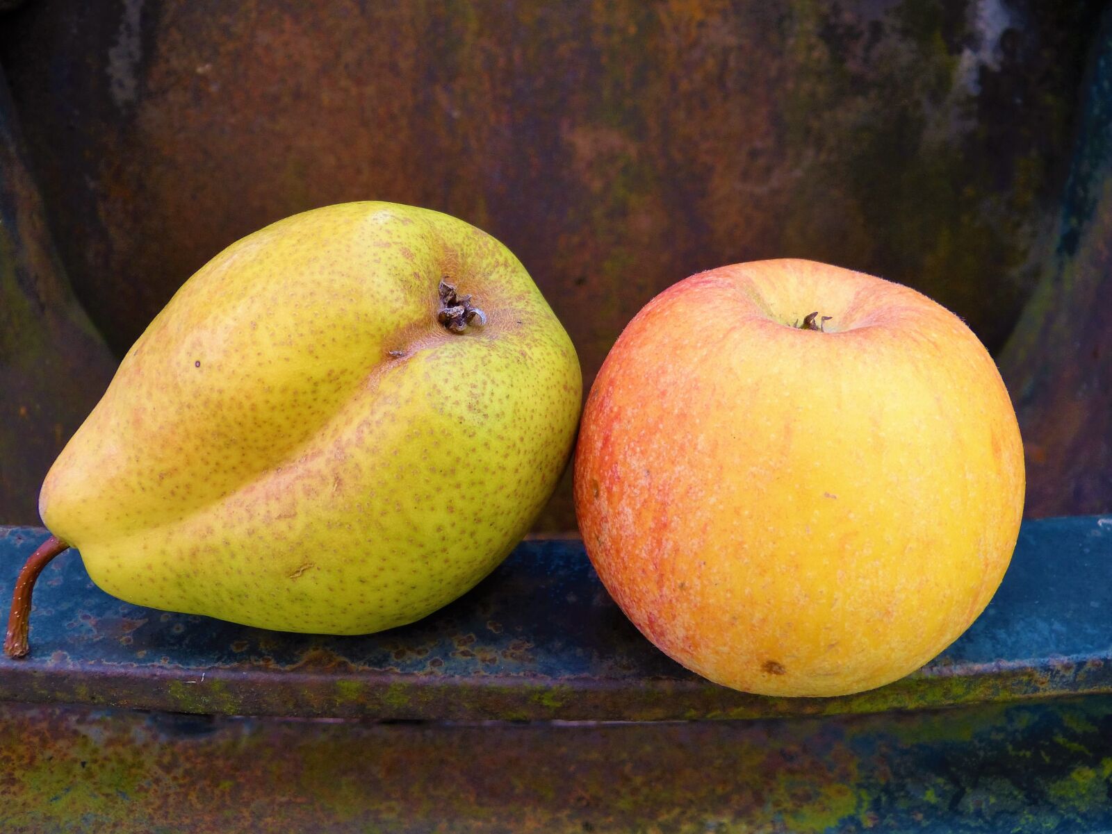 Panasonic Lumix DMC-FZ150 sample photo. Apple, pear, fruit photography