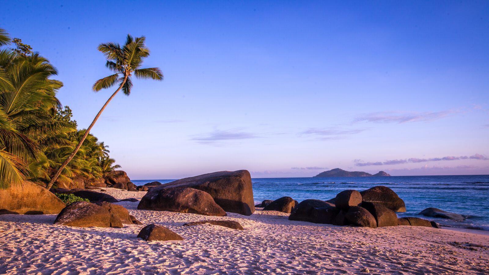 Nikon D600 sample photo. Beach, palm trees, island photography