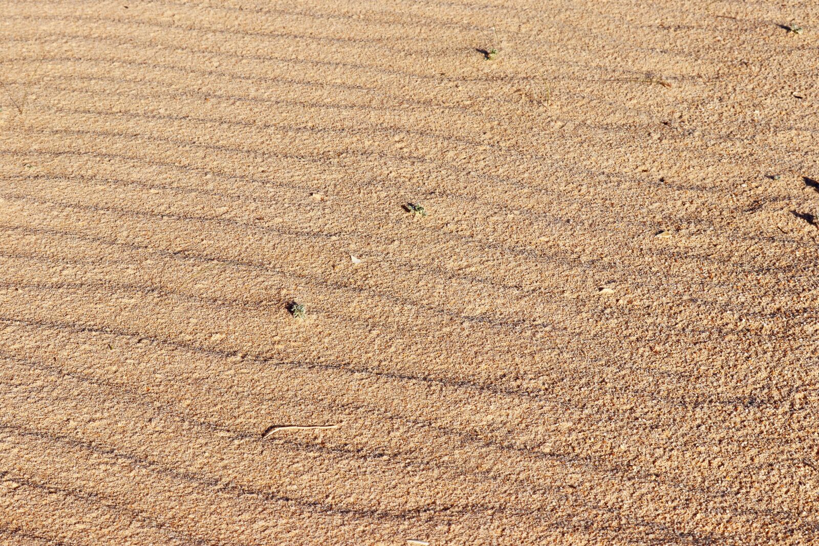 Canon EOS 80D + Canon EF-S 55-250mm F4-5.6 IS STM sample photo. Traces waves, sand, beach photography