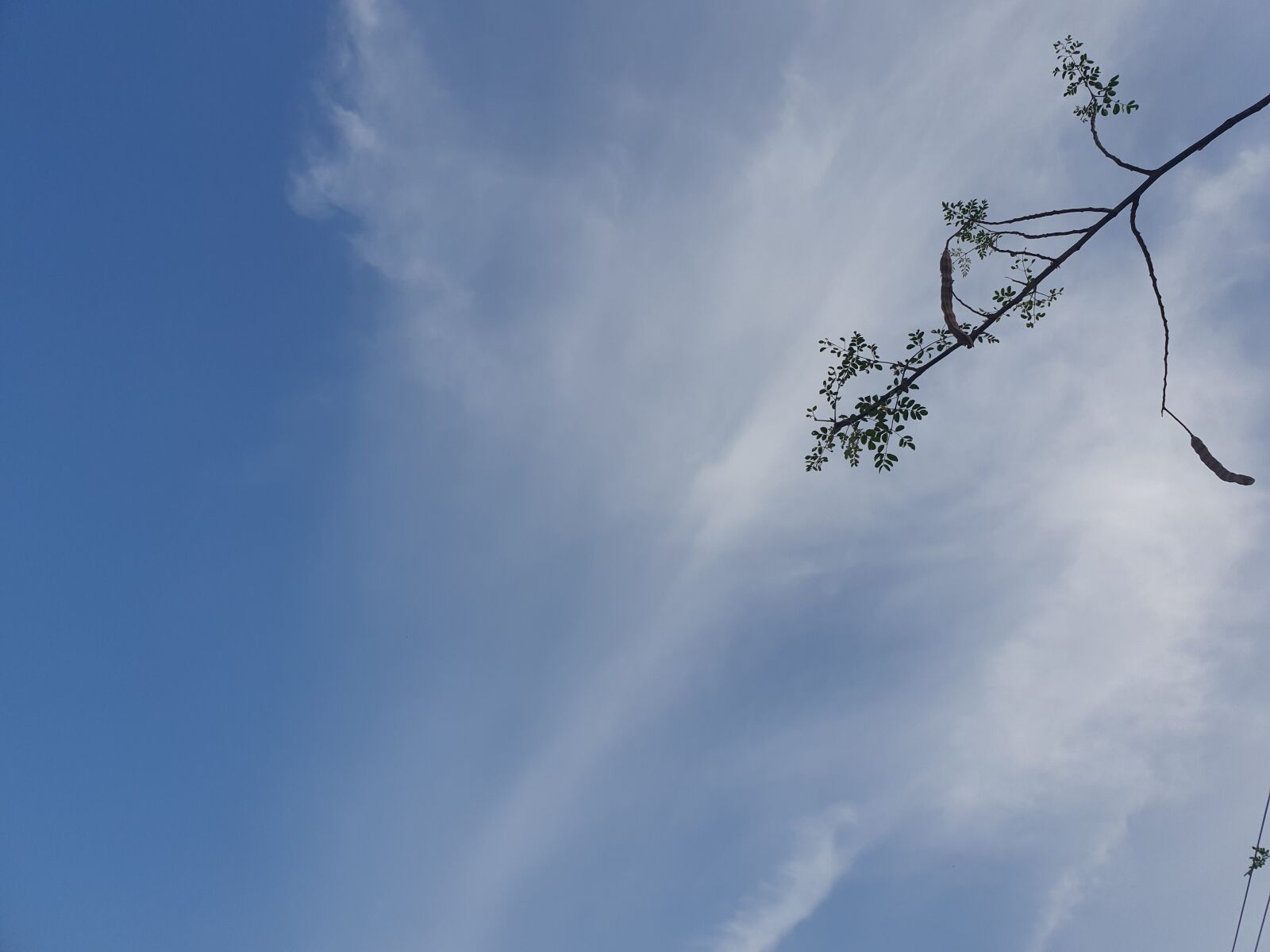 Samsung Galaxy S10 sample photo. Sky, blue, nature photography