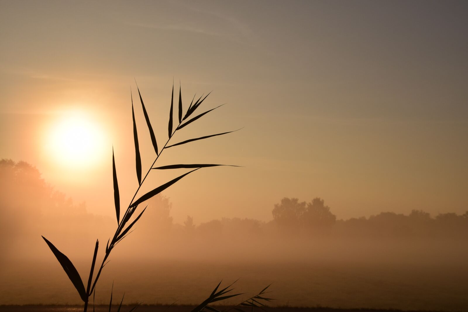 Nikon D3300 sample photo. Sunrise, red, morgenrot photography