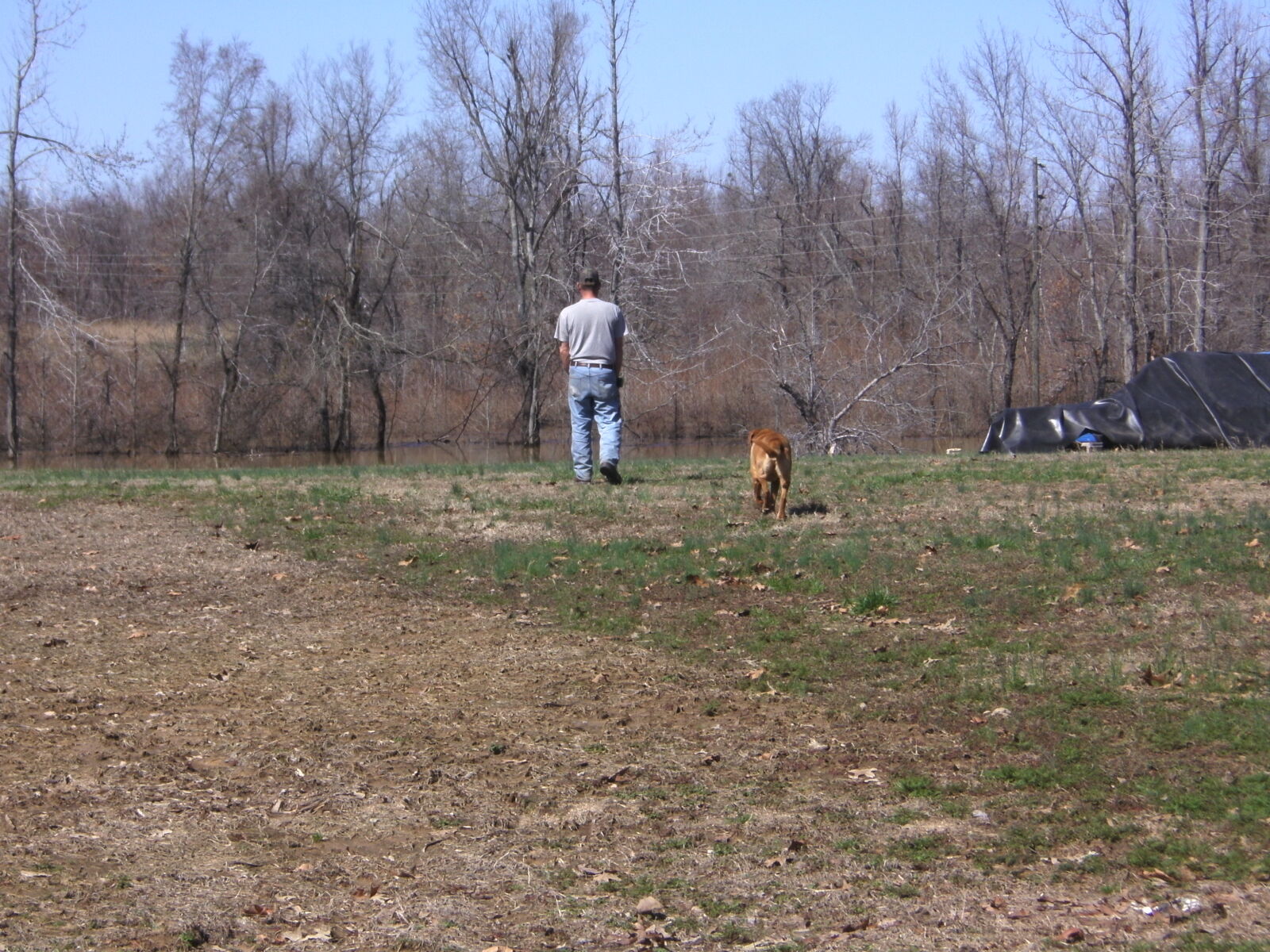 CAMERA 8MP-9HX sample photo. Best, friend, dog, man photography