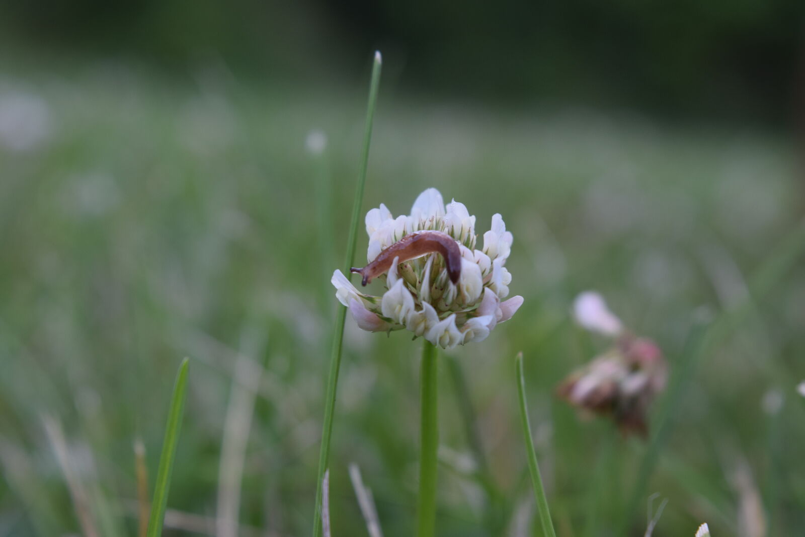 Nikon D3300 sample photo