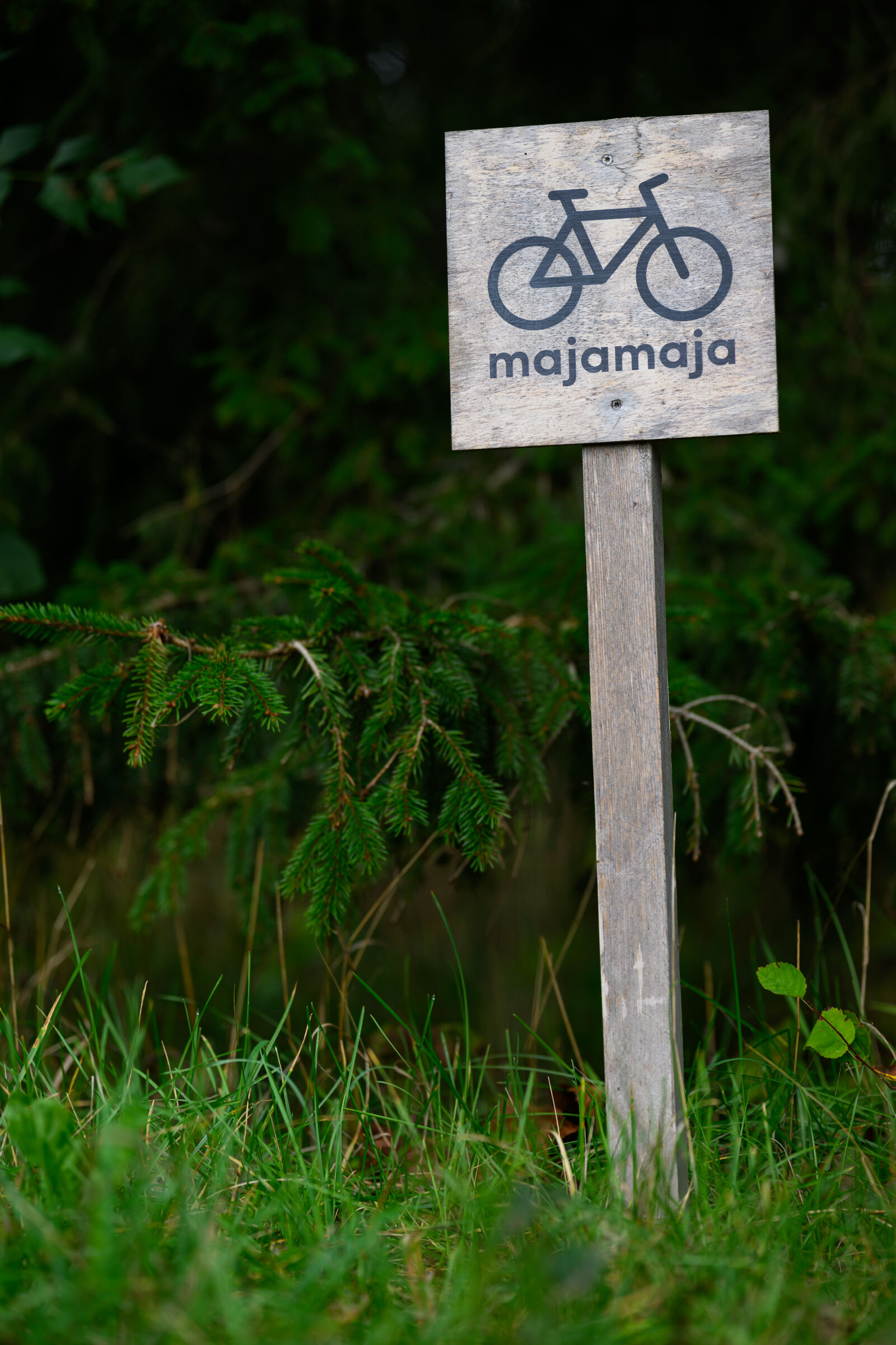 Nikon Z9 sample photo. Bicycle sign photography