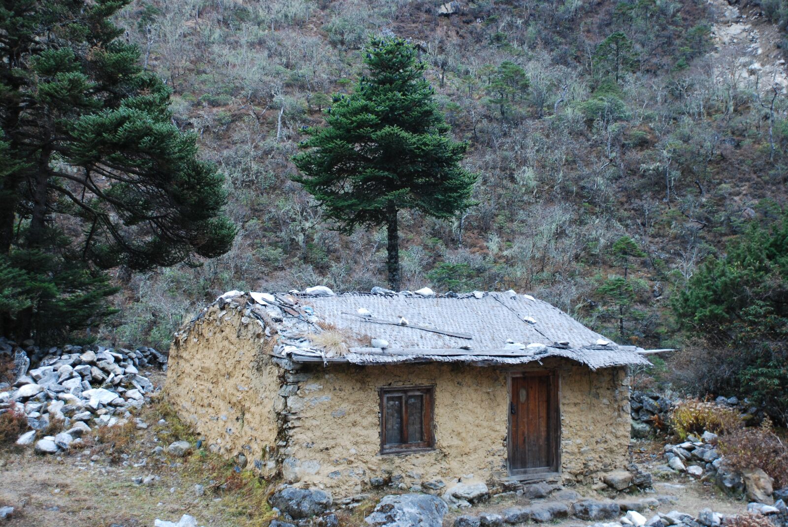 Nikon D80 sample photo. The himalayas, nepal photography