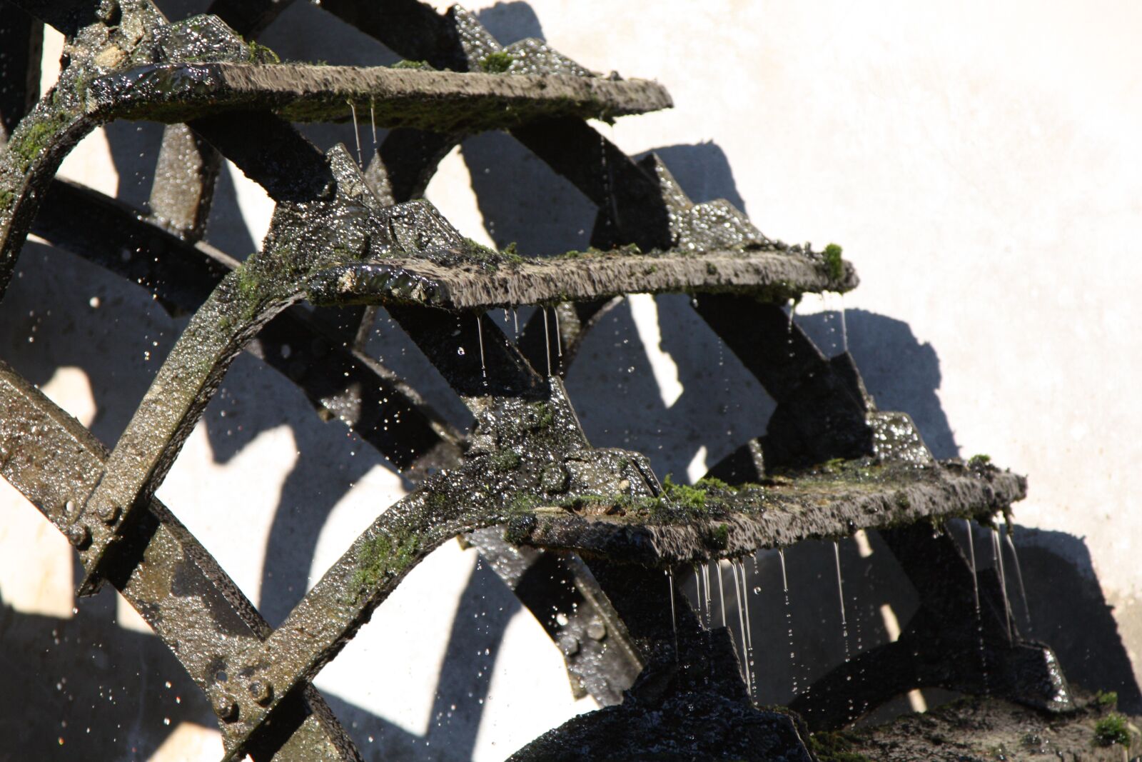 Canon EOS 450D (EOS Rebel XSi / EOS Kiss X2) sample photo. Water mill wheel, mill photography