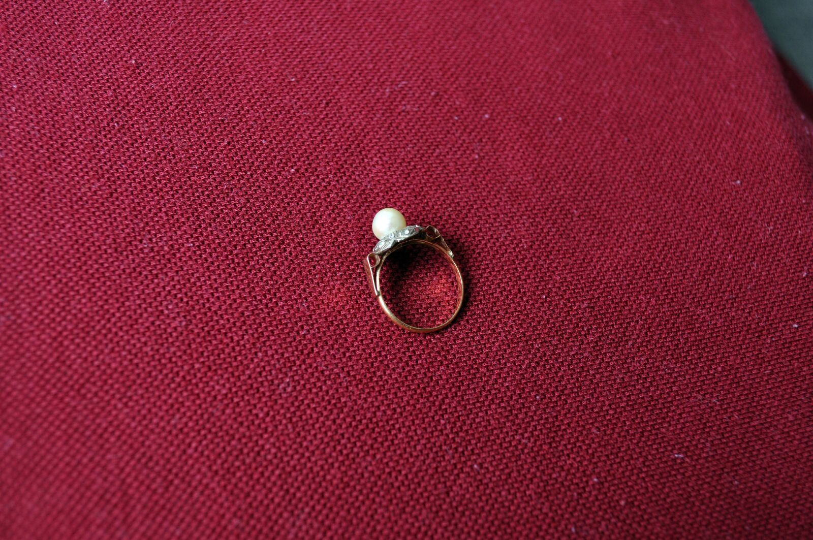 Nikon D5000 sample photo. Ring, jewelry, red, background photography