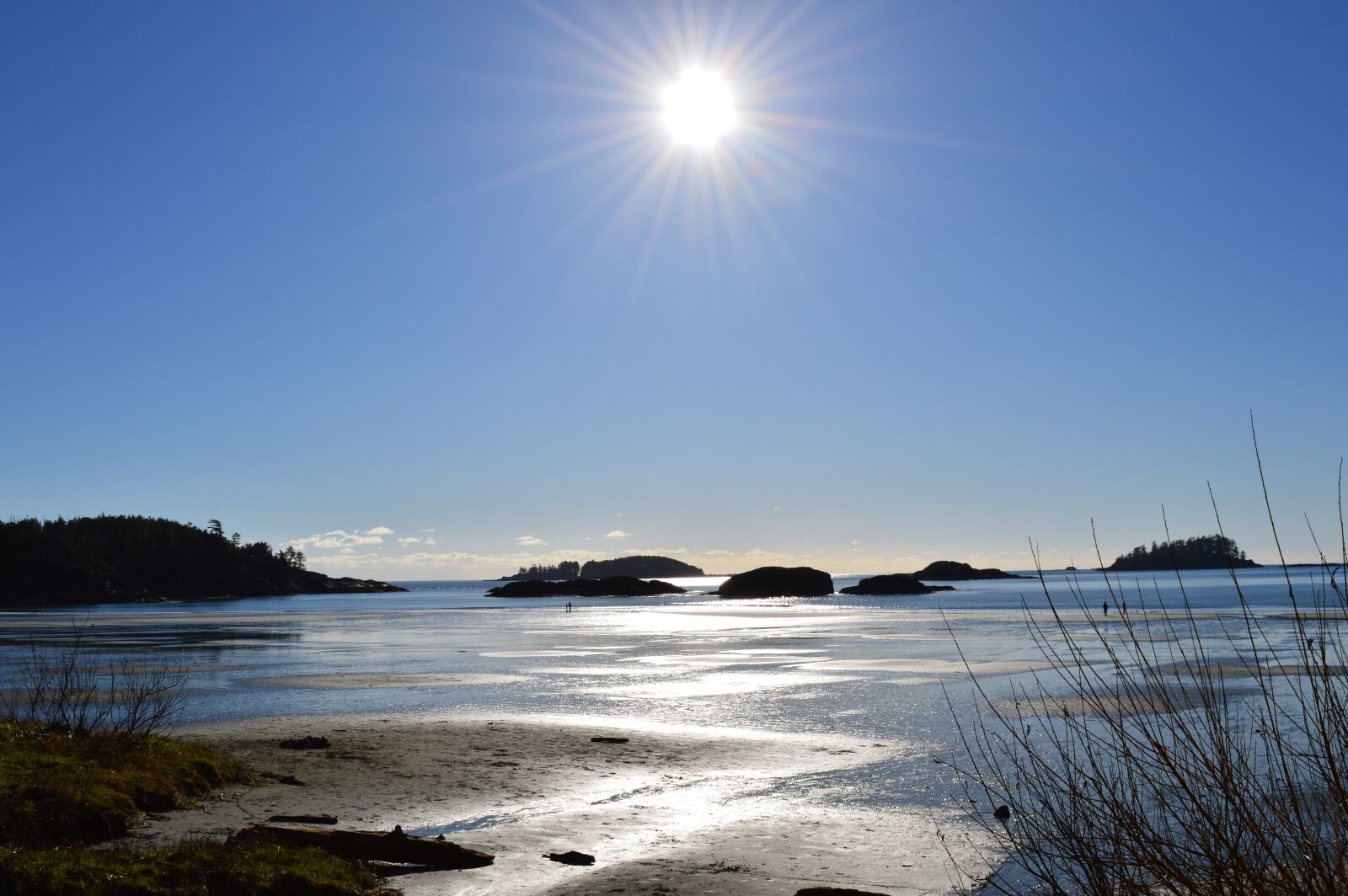 Nikon D3200 sample photo. Tofino, low tide, sun photography
