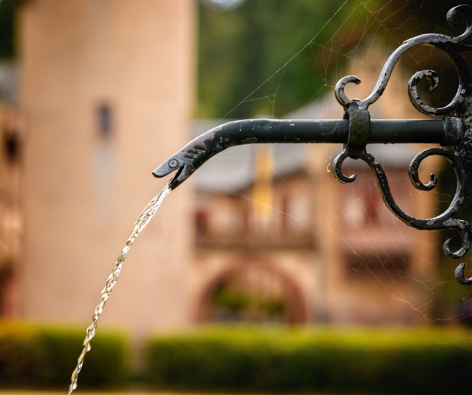 Nikon Z6 sample photo. Fountain, water, water jet photography