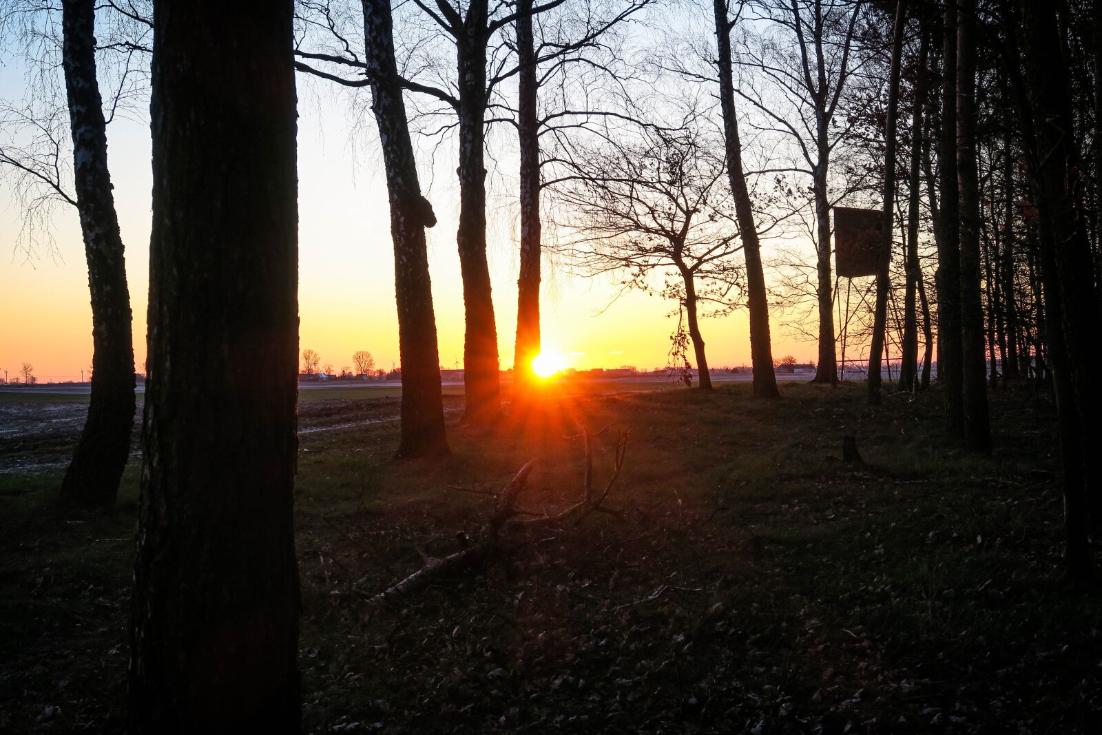 Canon PowerShot G5 X sample photo. Sunrise, trees, sun photography