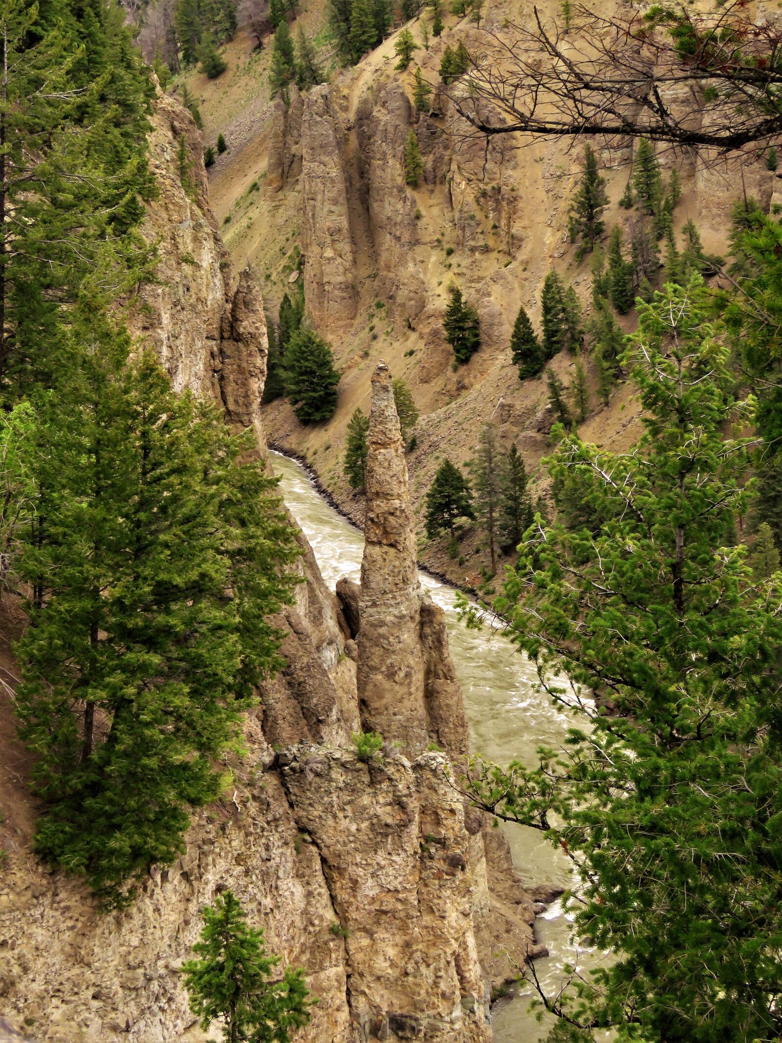 Canon PowerShot SX60 HS sample photo. Yellowstone, wyoming, hiking photography