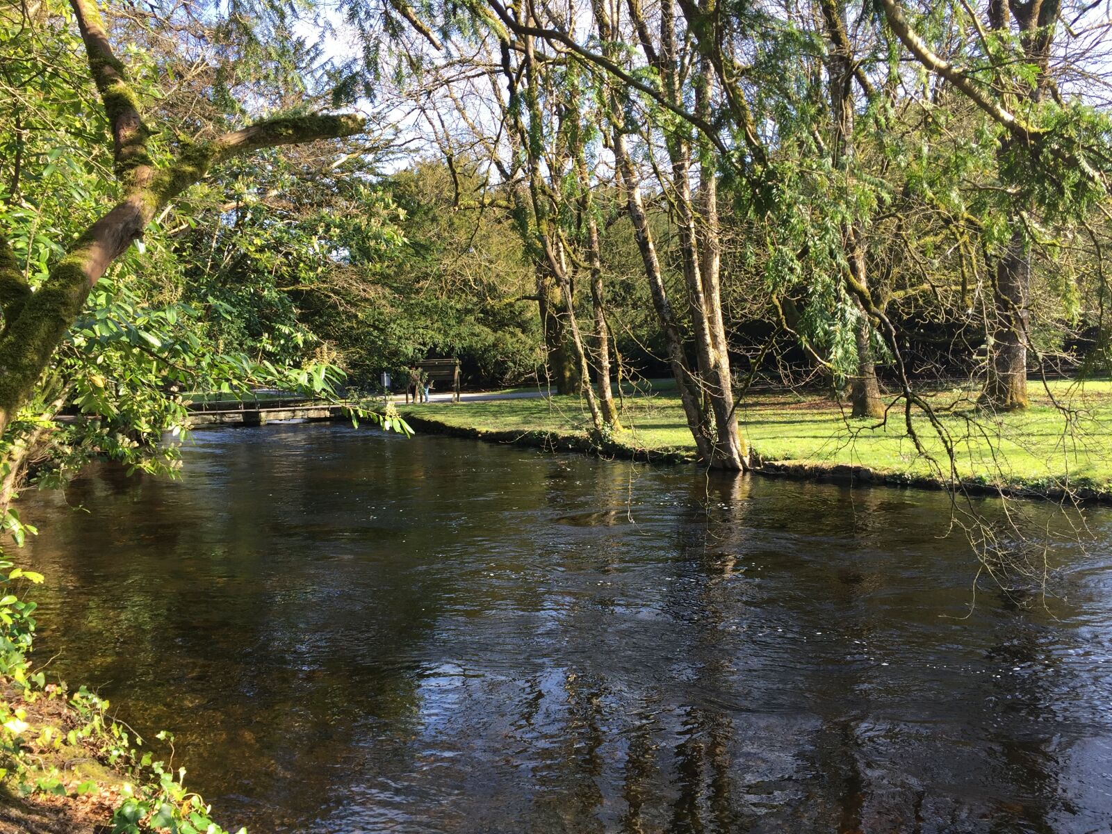 Apple iPhone 6 sample photo. Cong, ireland, holiday photography