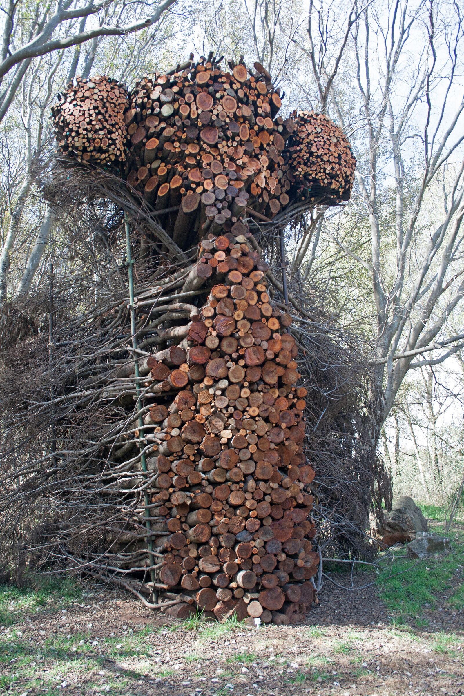 Canon EF-S 18-55mm F3.5-5.6 II sample photo. Sculpture, art, branches photography