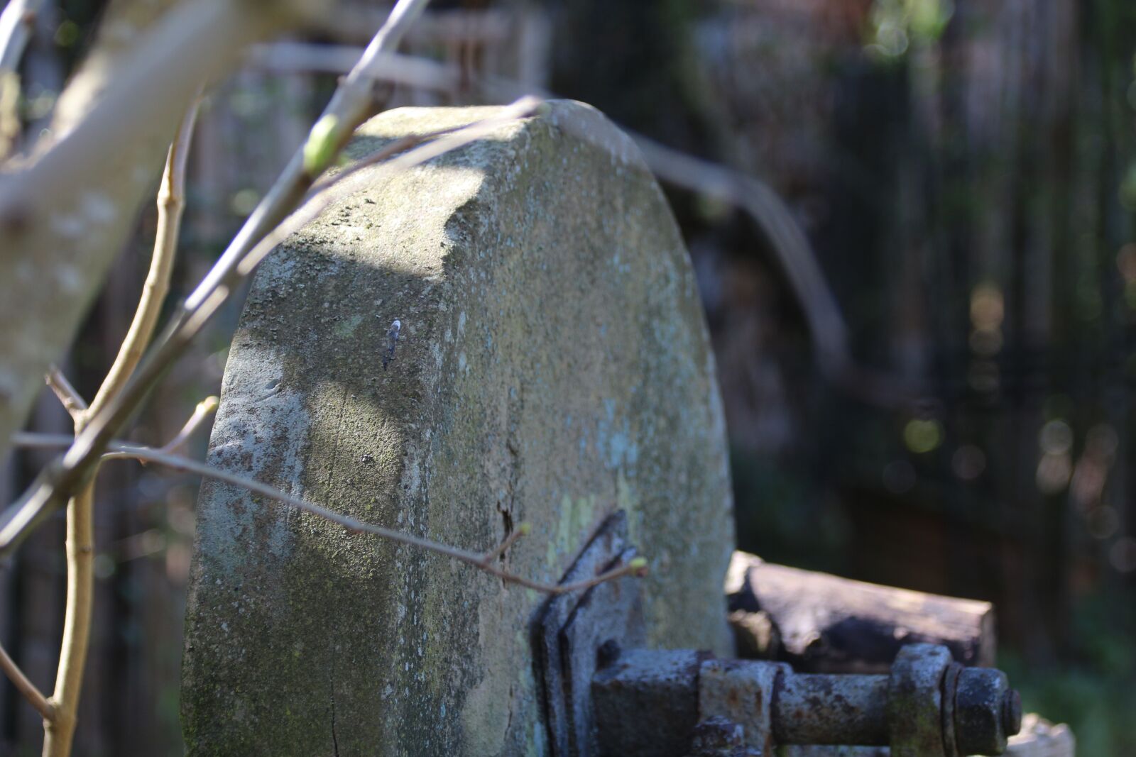 Canon EOS 700D (EOS Rebel T5i / EOS Kiss X7i) sample photo. Grinding stone, garden, harvest photography