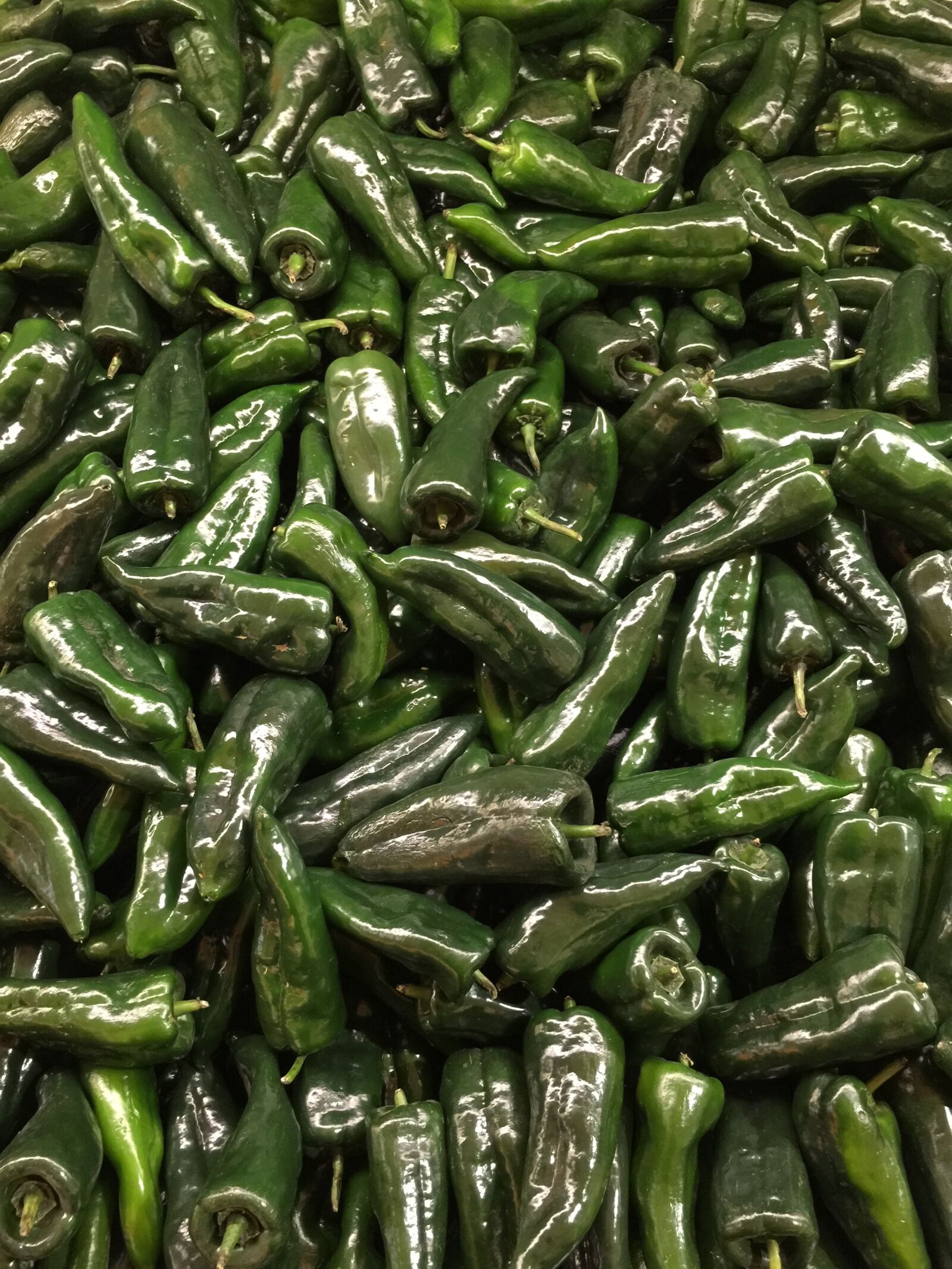 iPhone 6 Plus back camera 4.15mm f/2.2 sample photo. Vegetables, peppers, chilis photography
