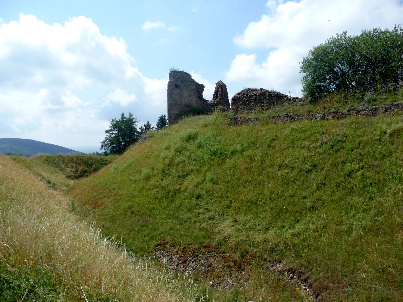 Panasonic Lumix DMC-TZ4 sample photo. Castle, ruins, castle flexible photography