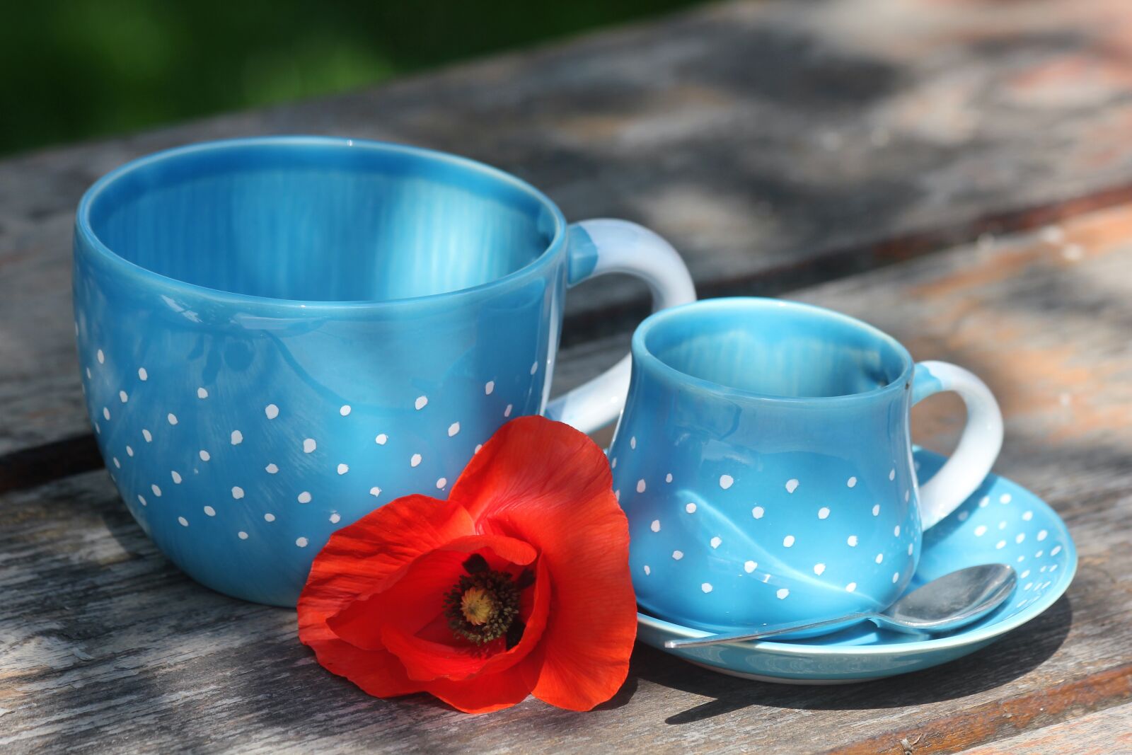 Canon EOS 550D (EOS Rebel T2i / EOS Kiss X4) sample photo. A cup of, romance photography