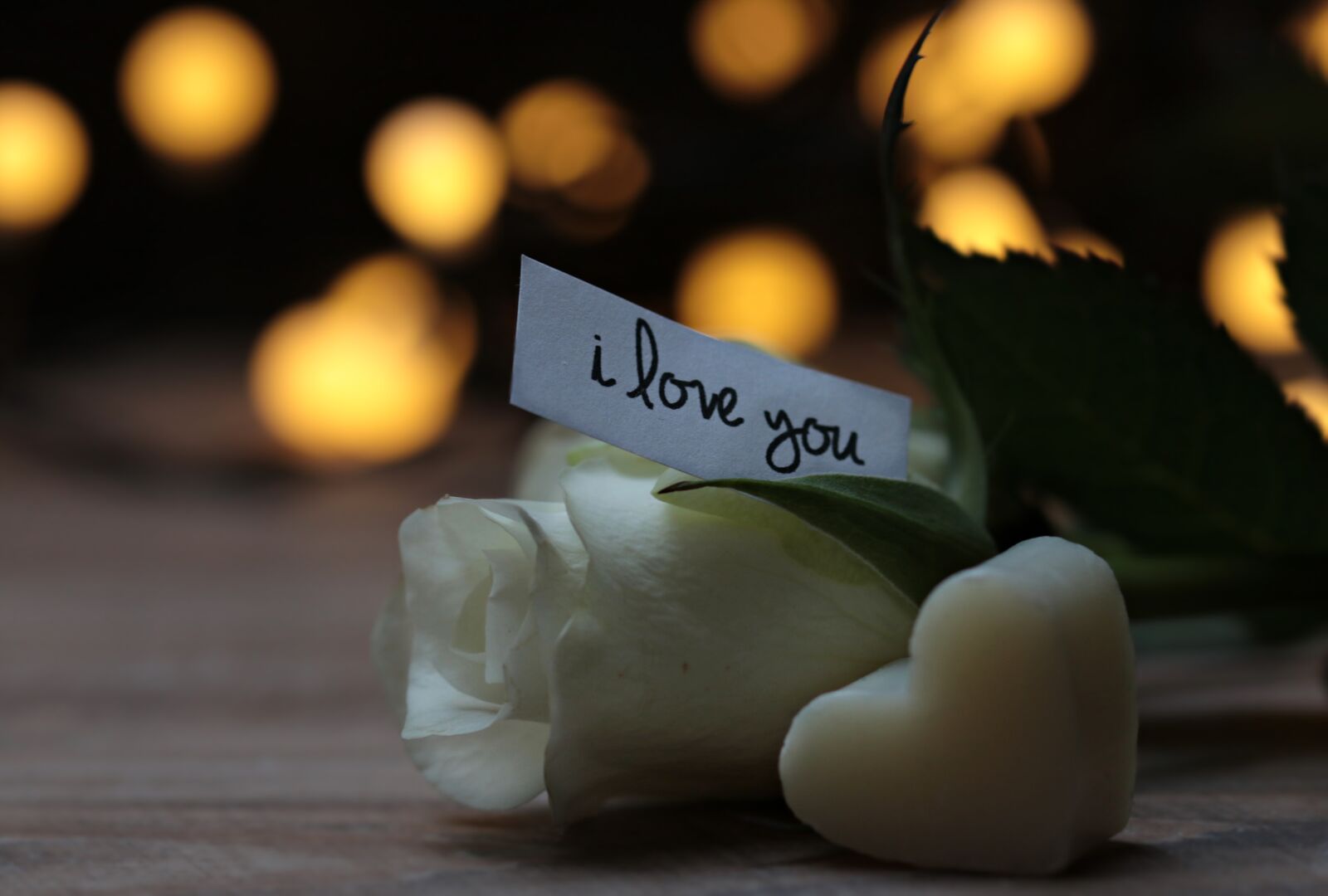 Canon EOS 80D sample photo. Rose, bokeh, heart photography