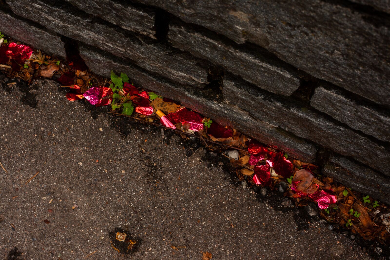Canon EF 50mm F1.8 II sample photo. Plastic confetti, confetti, plastic photography
