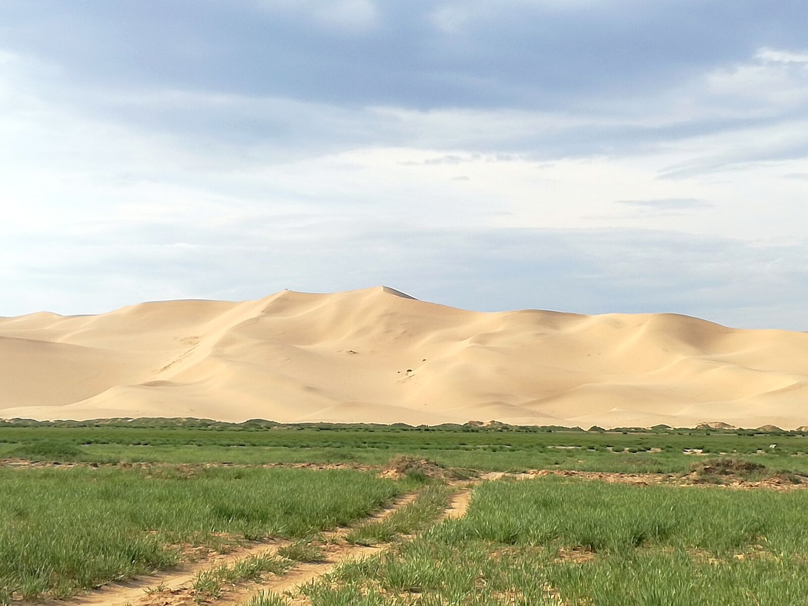 HUAWEI VNS-L31 sample photo. Mongolia, desert, gobi photography
