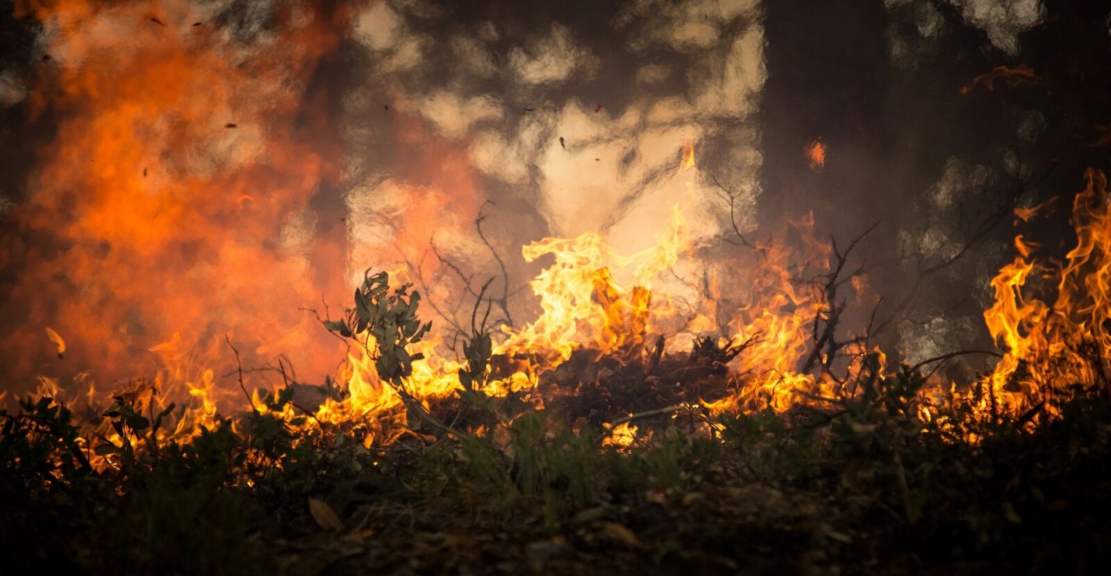 Nikon D800 sample photo. Forest fire, wildfire, blaze photography