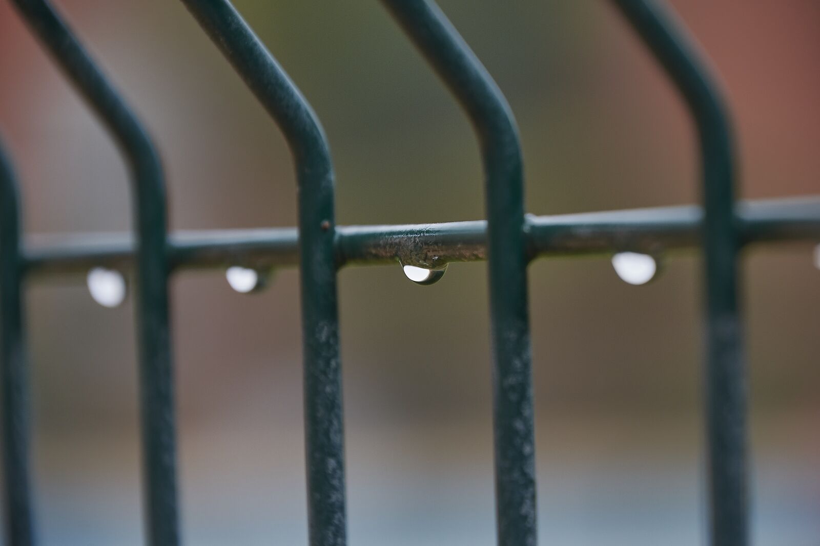 Nikon D7200 sample photo. Moisture, drops of water photography