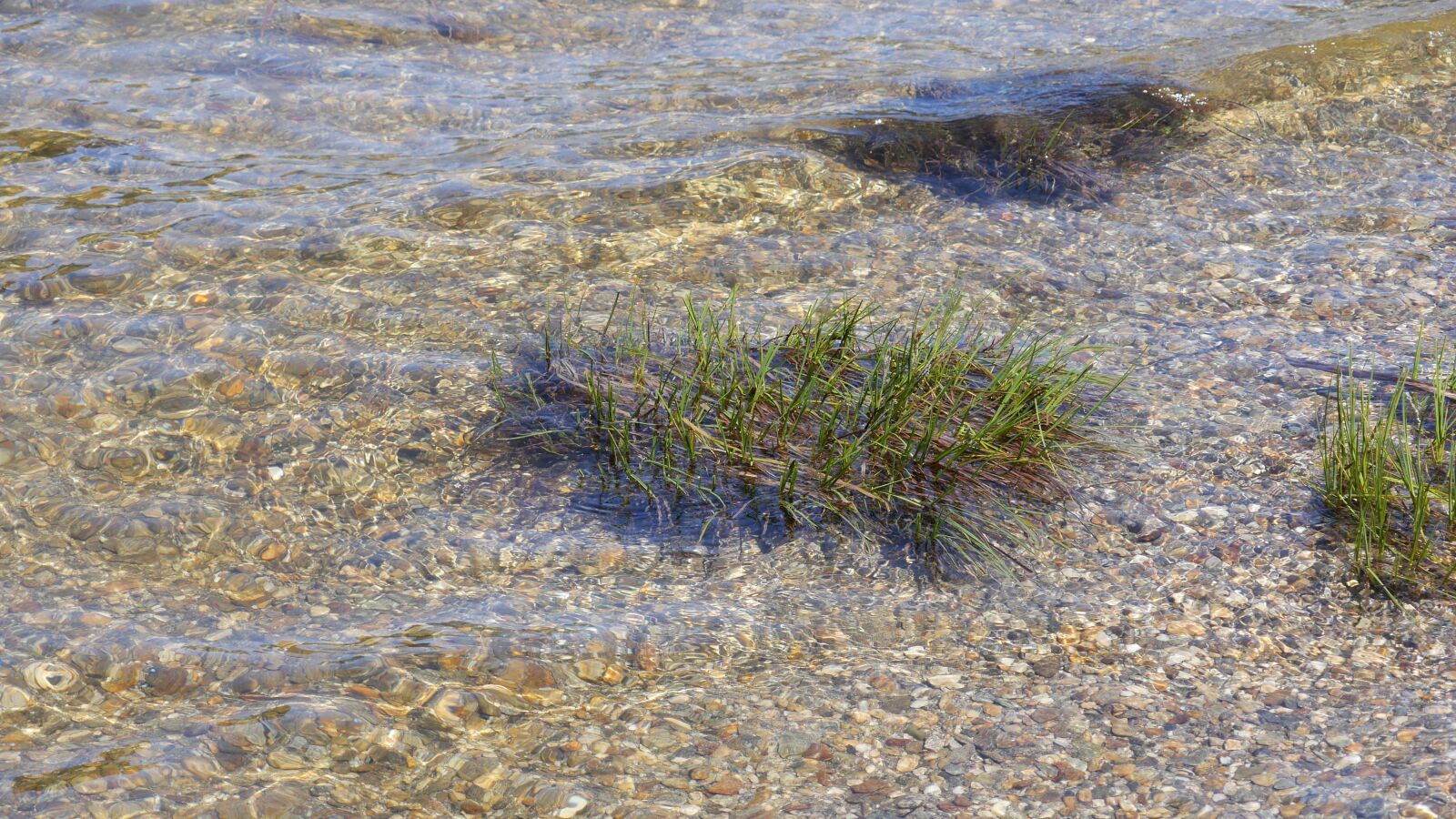 Panasonic Lumix DMC-GH3 sample photo. Grass under water, rock photography
