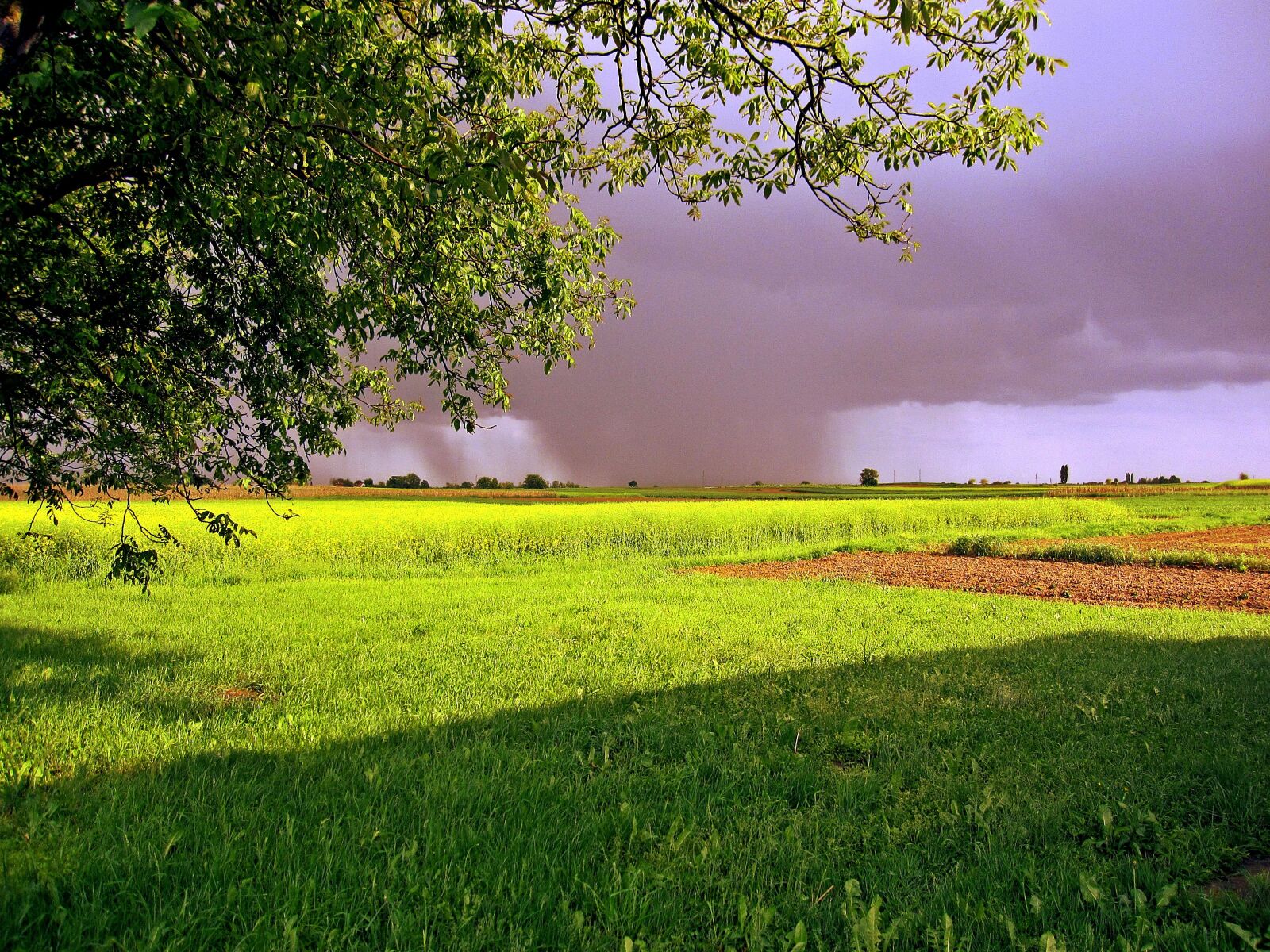 Canon PowerShot SD960 IS (Digital IXUS 110 IS / IXY Digital 510 IS) sample photo. Nature, rain, clouds photography