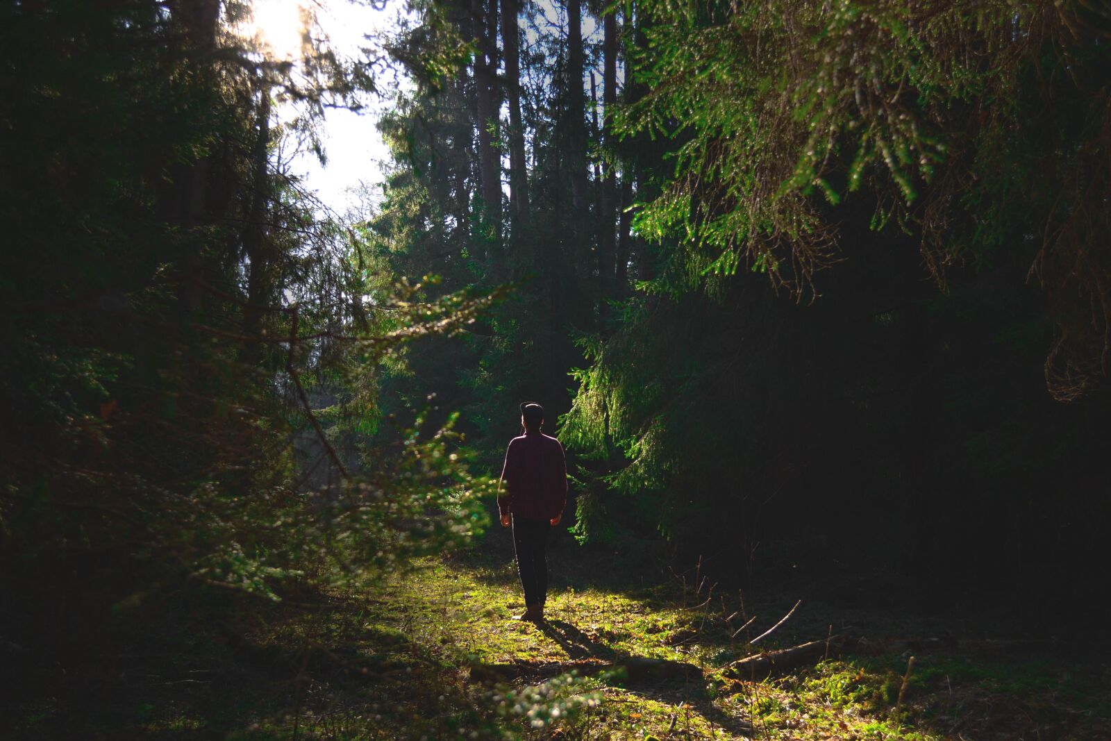 Nikon D3100 sample photo. Forest, man, nature photography