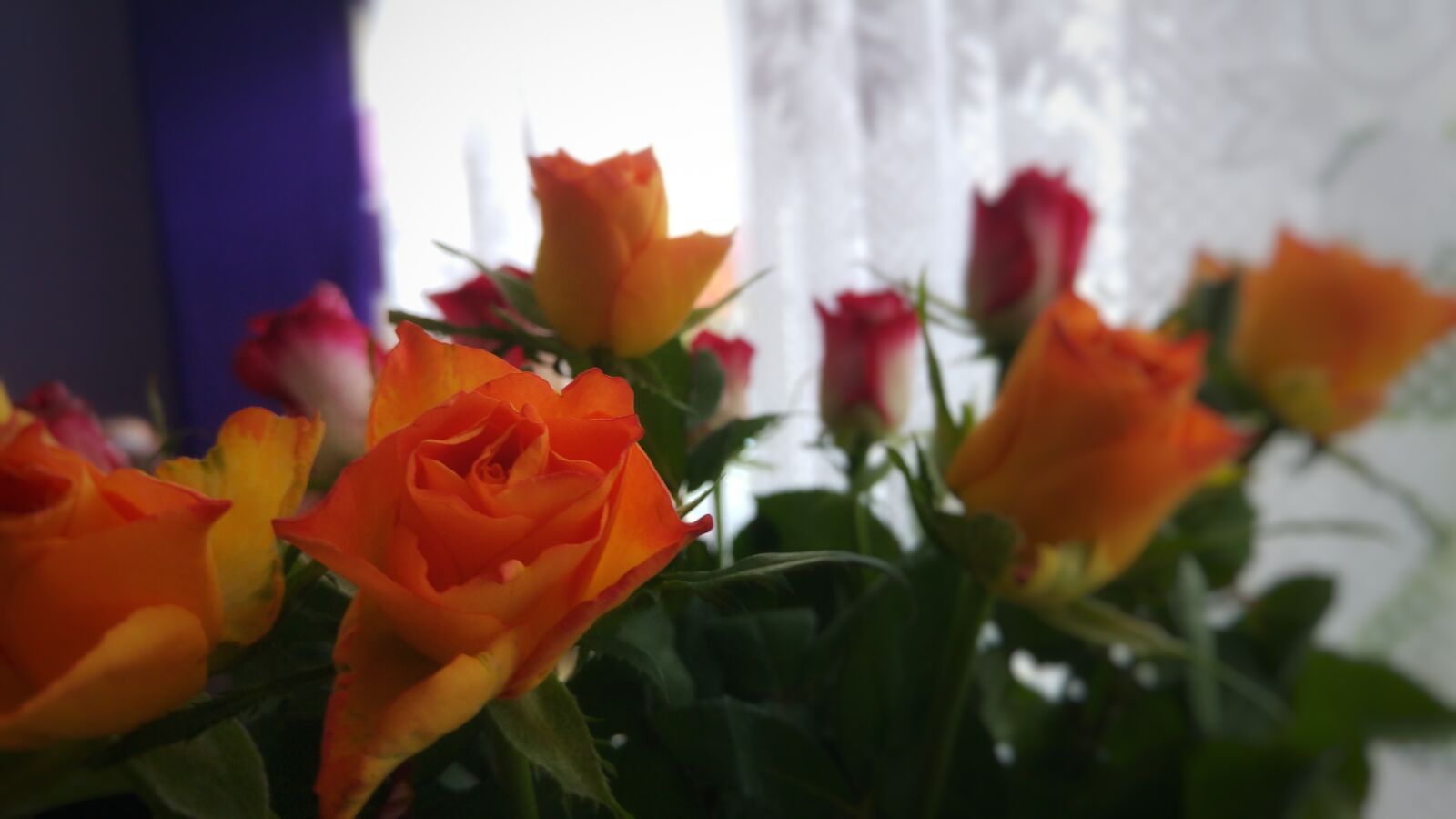 LG G4 sample photo