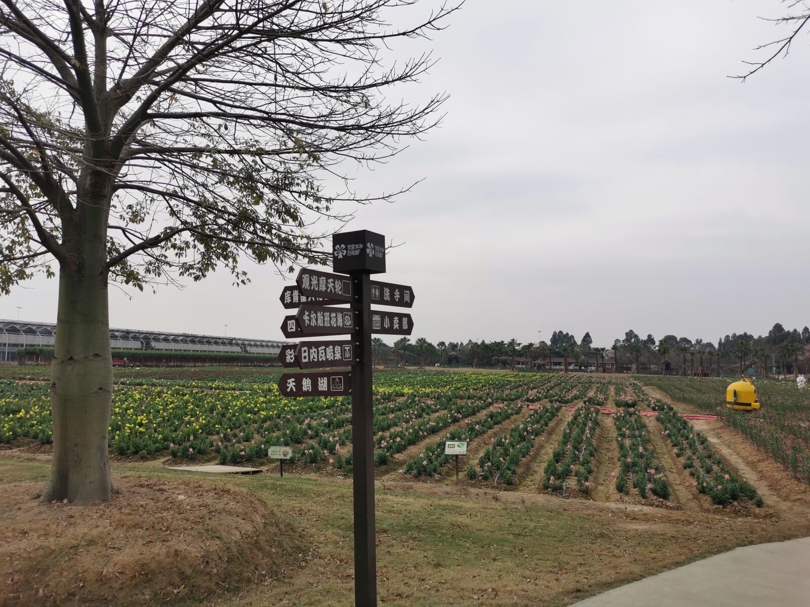 HUAWEI P30 sample photo. Road sign, tree, garden photography