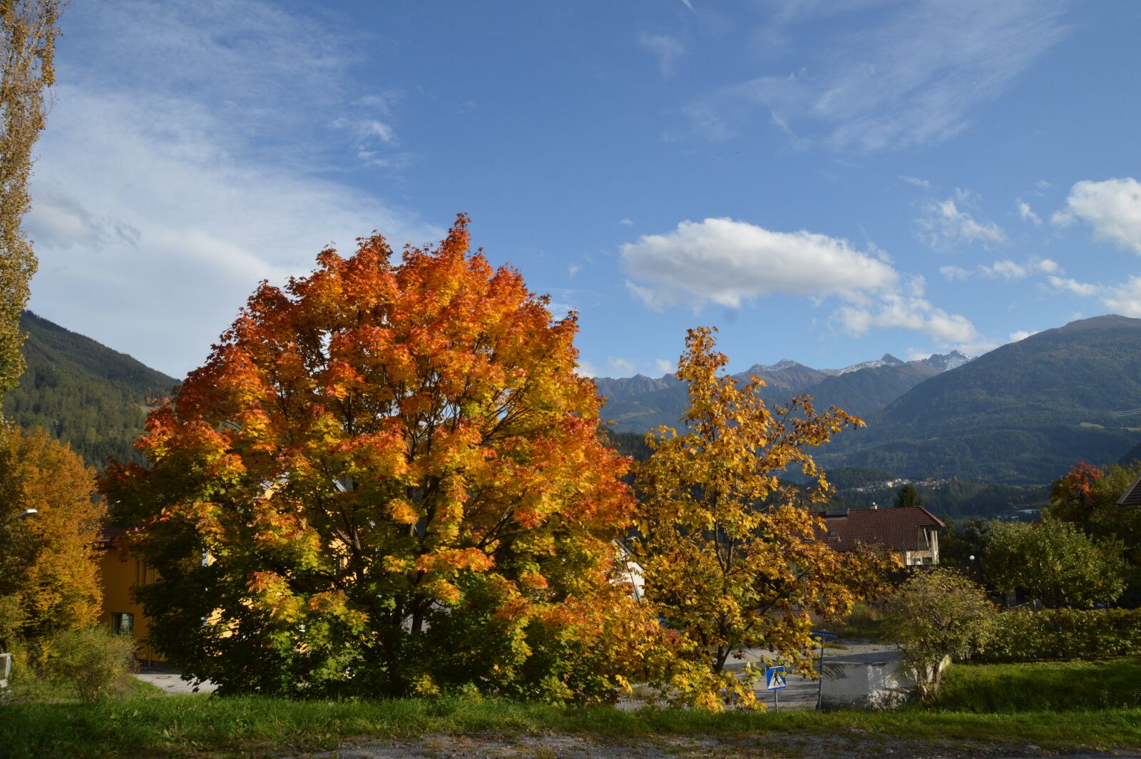 Nikon D3200 sample photo. Autumn, colors, tree photography