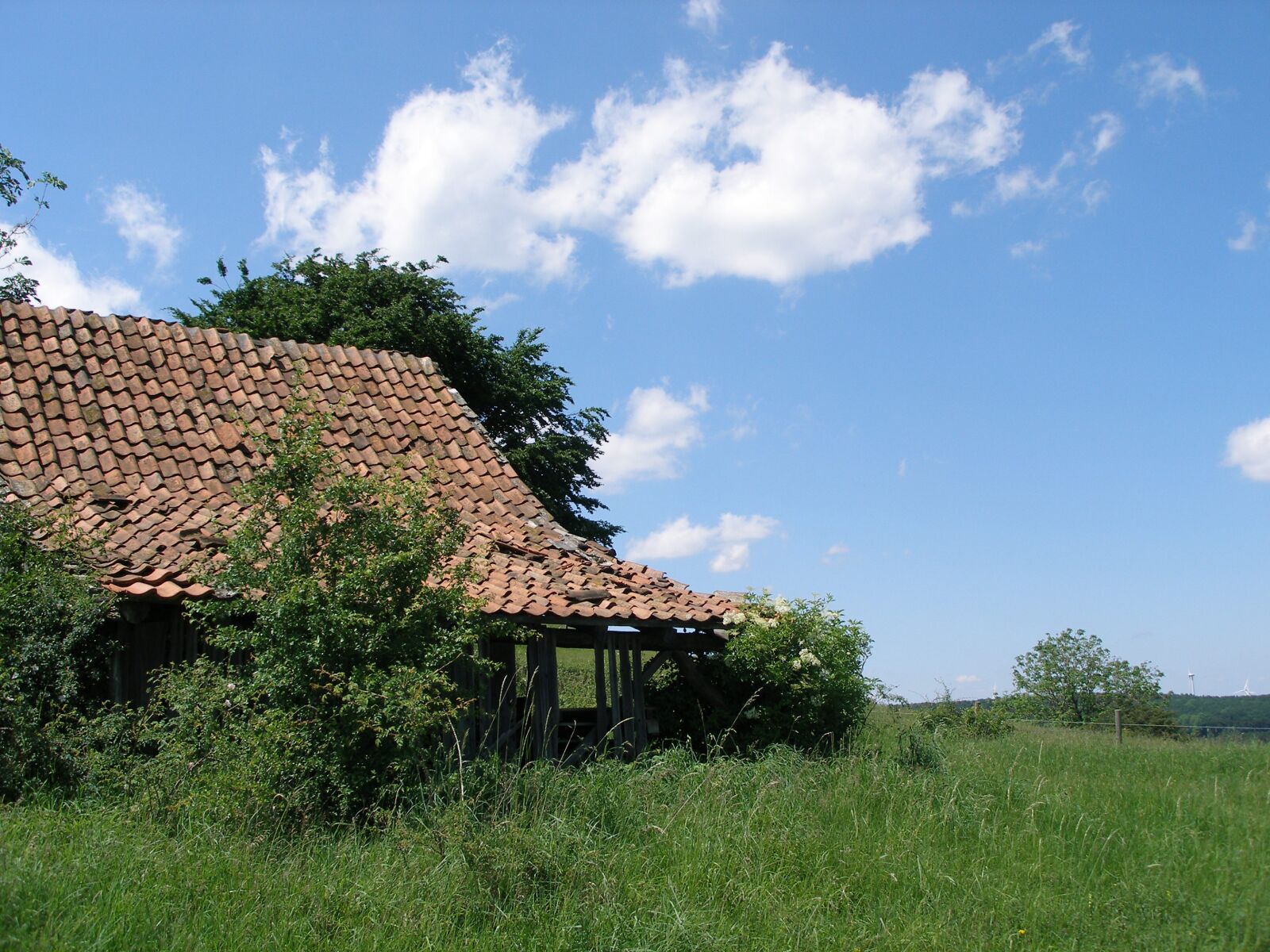 Olympus C70Z,C7000Z sample photo. Hut, summer, sky photography