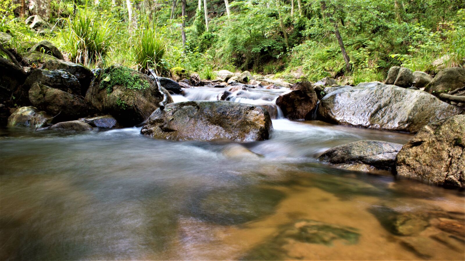 Canon EOS 1300D (EOS Rebel T6 / EOS Kiss X80) sample photo. River, riera, natural park photography