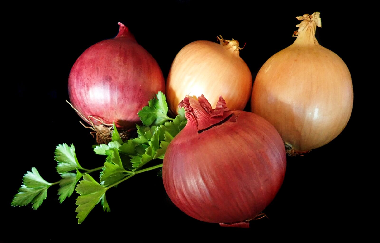 Olympus TG-5 sample photo. Onions, red, brown photography