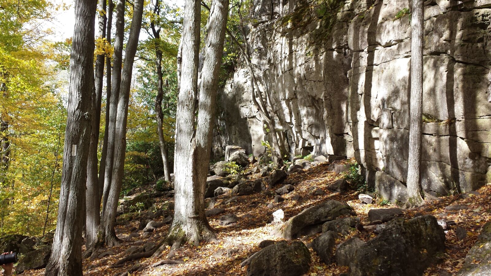 Samsung Galaxy S4 sample photo. Trees, rocks, hiking photography