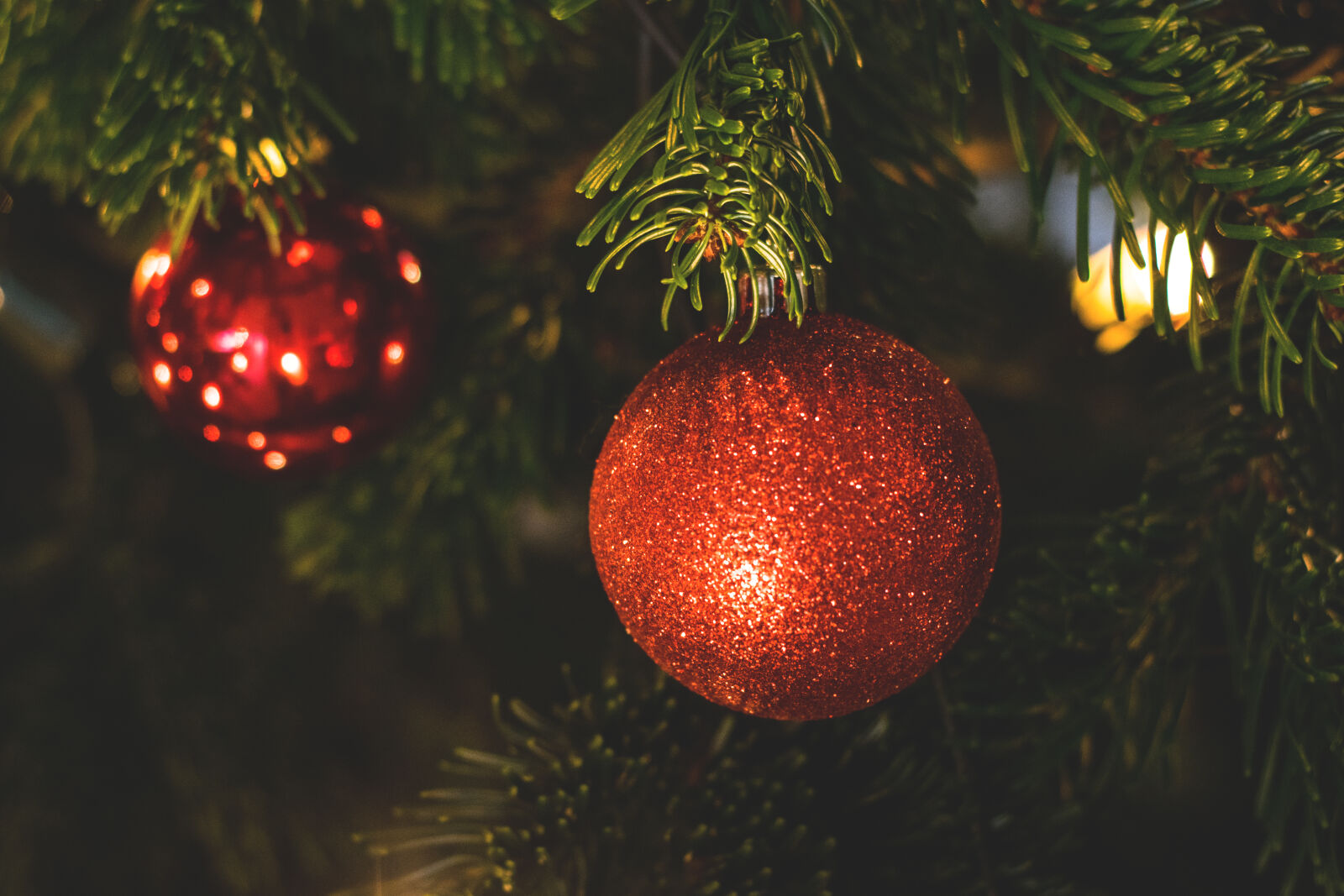 Nikon D5300 sample photo. Ball, branch, celebration, christmas photography
