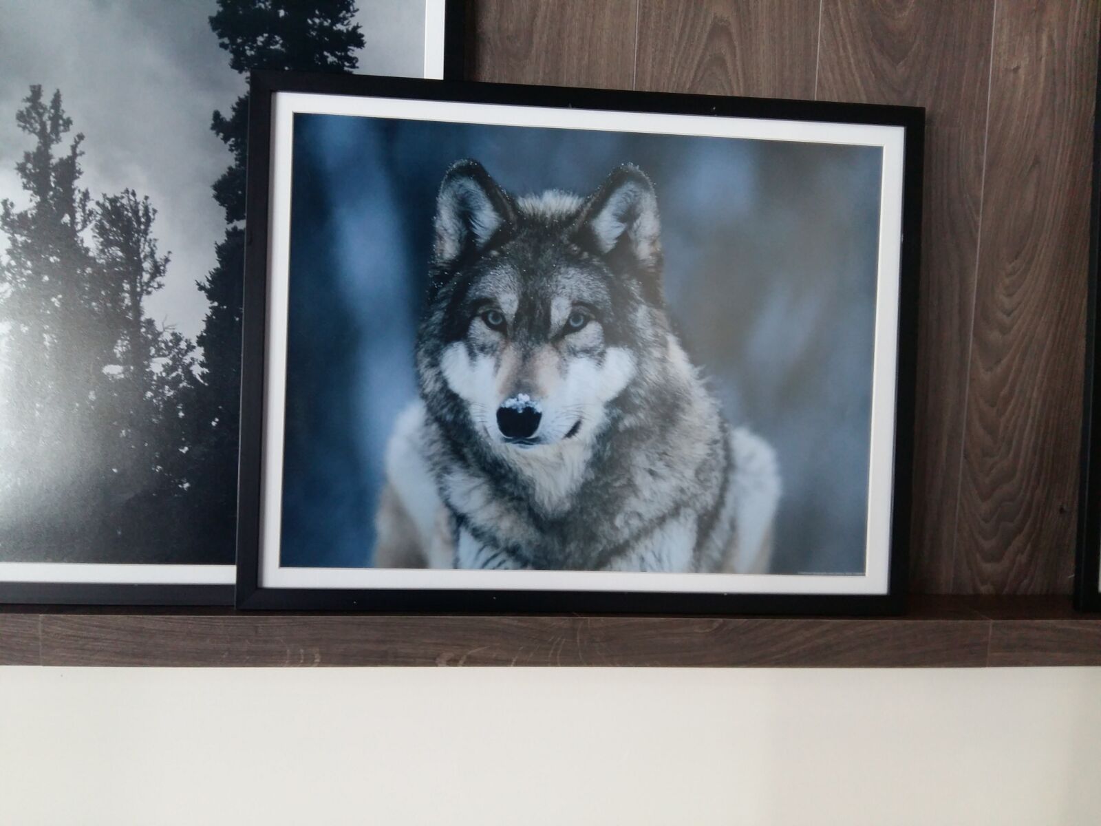 Samsung Galaxy A5 sample photo. Natural, winter, wolf photography