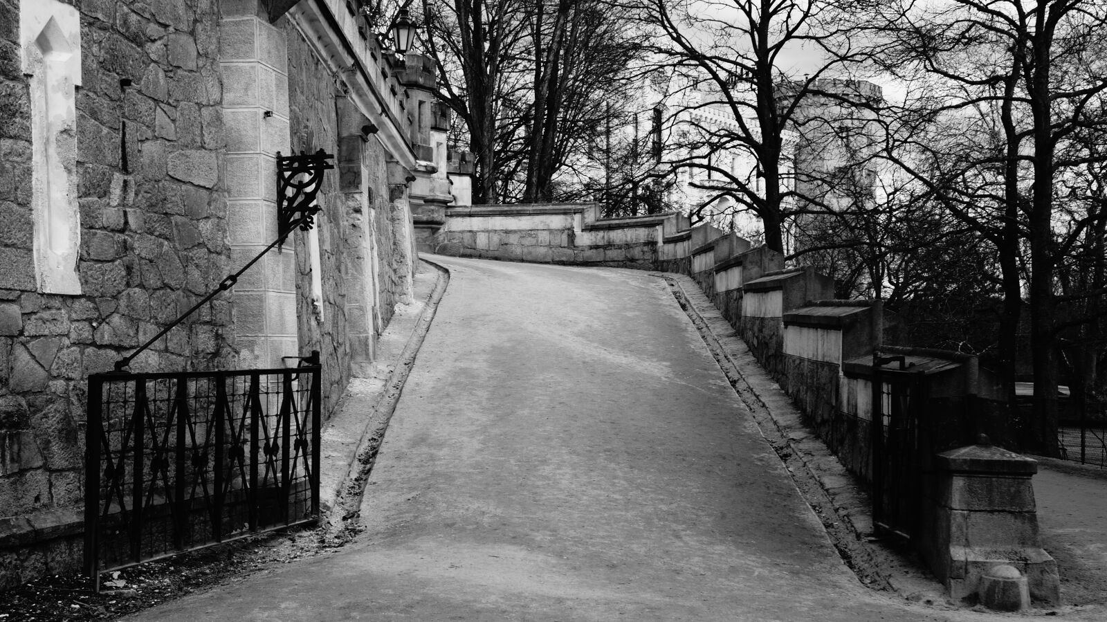 Sony DT 18-55mm F3.5-5.6 SAM II sample photo. Black and white, gate photography