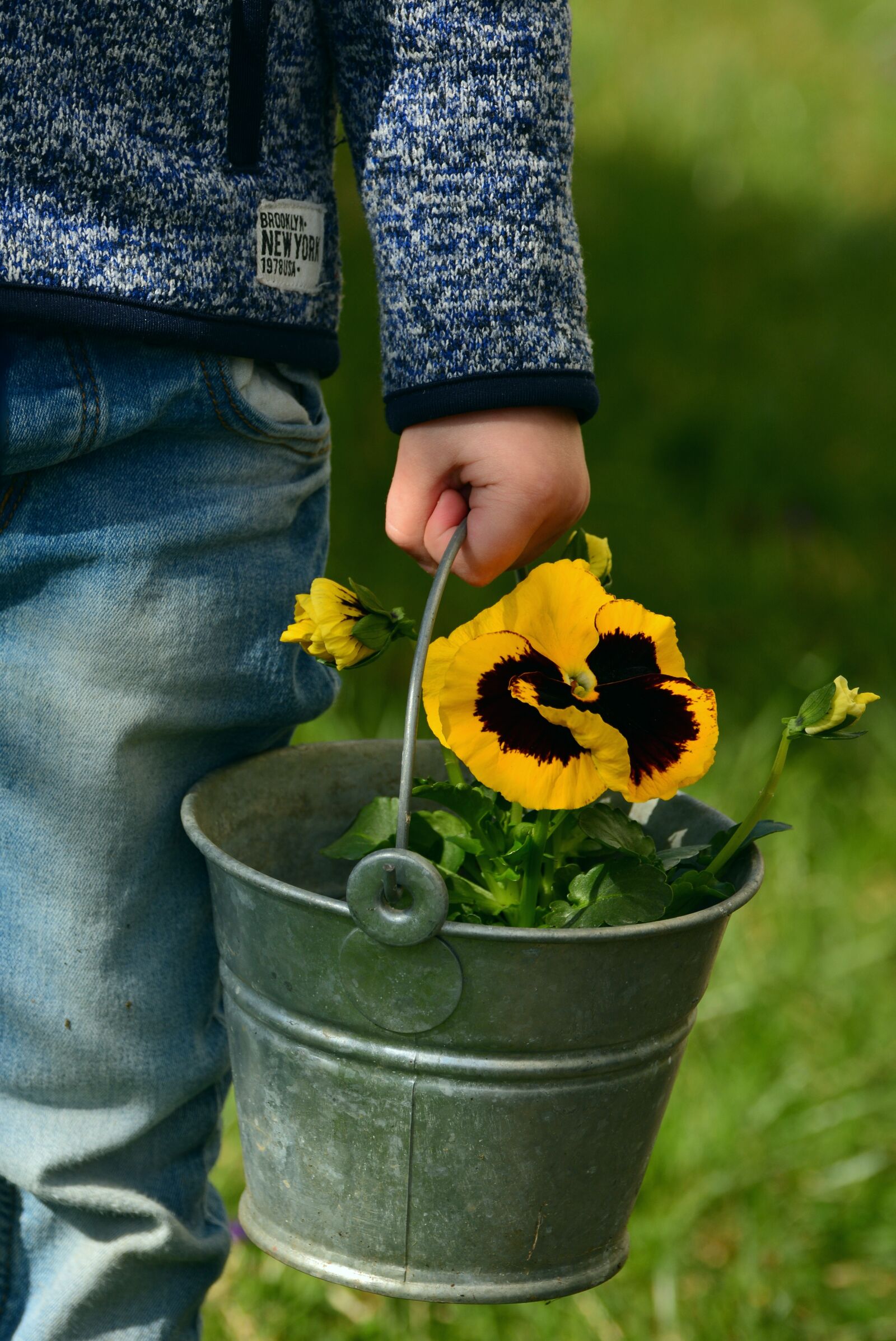 Nikon D5200 sample photo. Pansy, child, child's hand photography